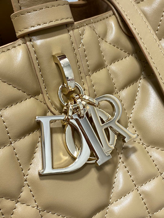 BAG-DIOR-W-LY-170