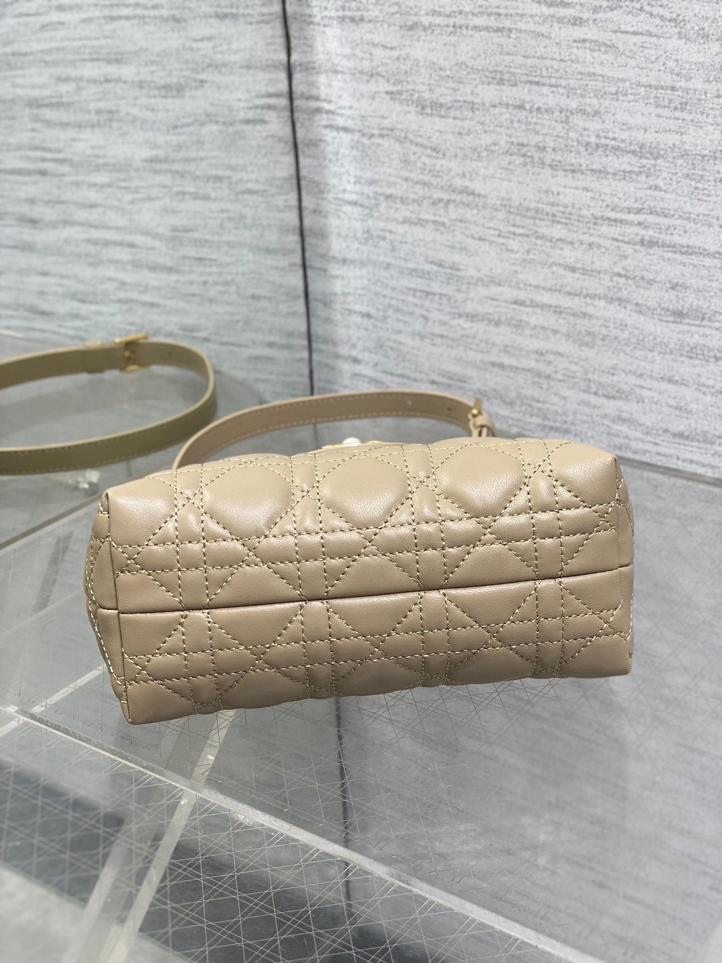 BAG-DIOR-W-LY-024