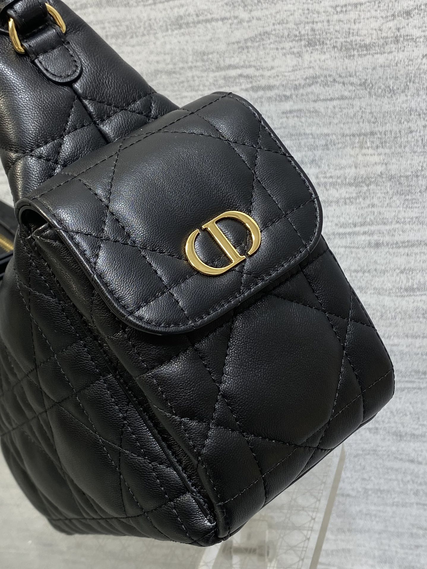 BAG-DIOR-W-LY-050