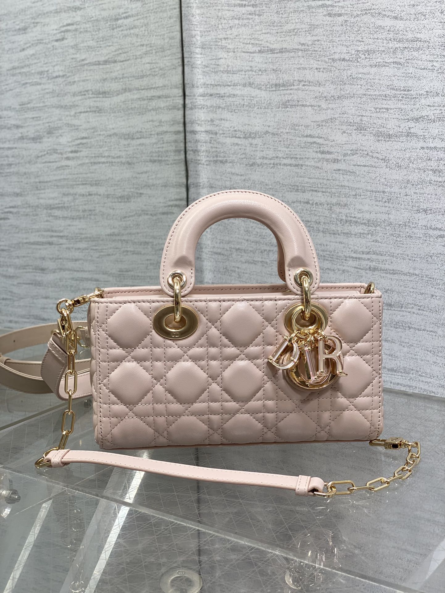 BAG-DIOR-W-LY-018