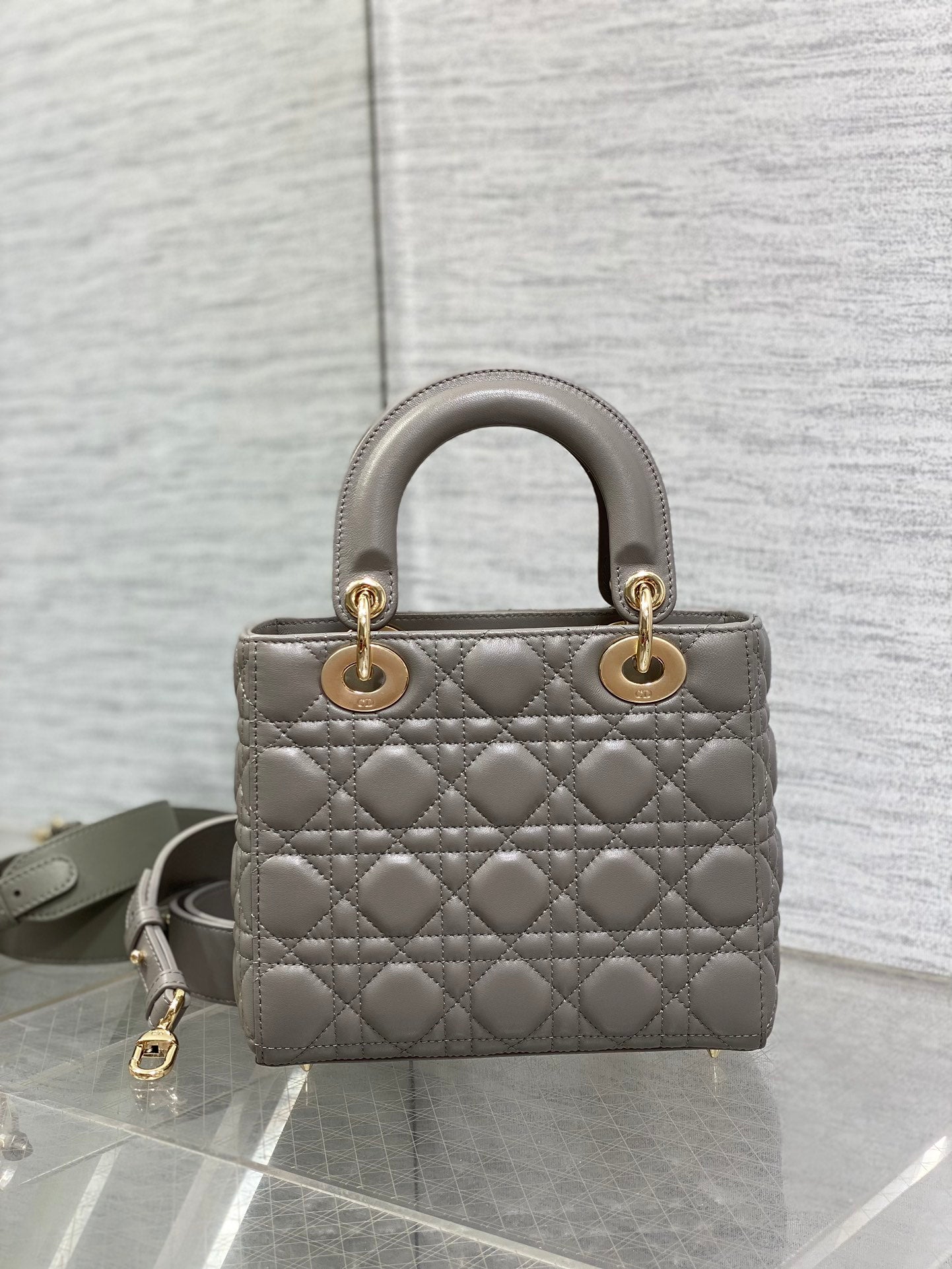 BAG-DIOR-W-LY-541