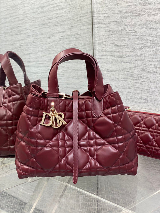 BAG-DIOR-W-LY-154