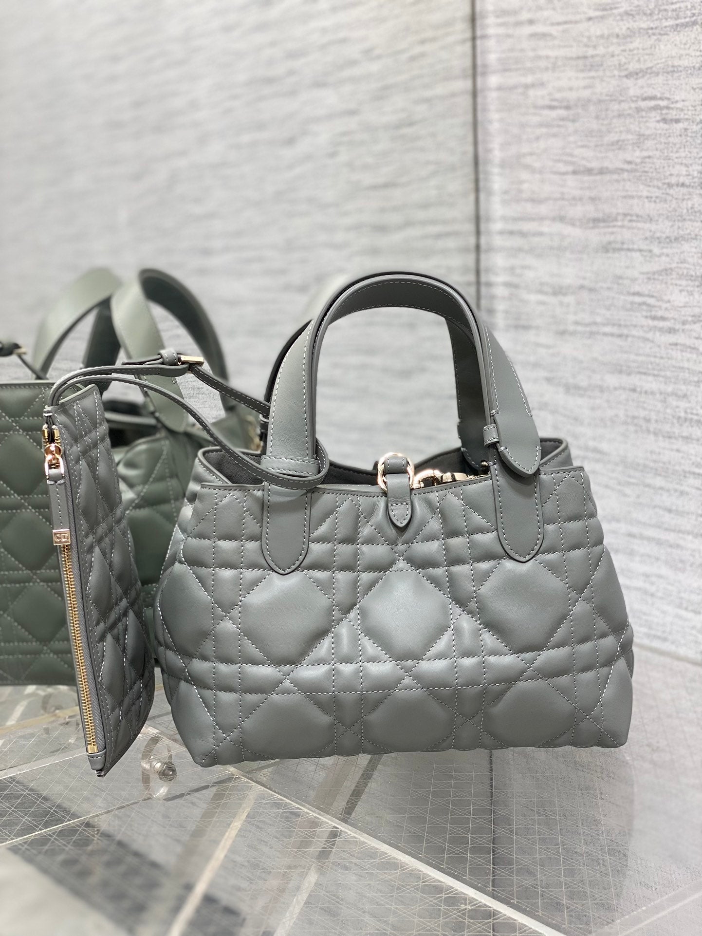 BAG-DIOR-W-LY-229