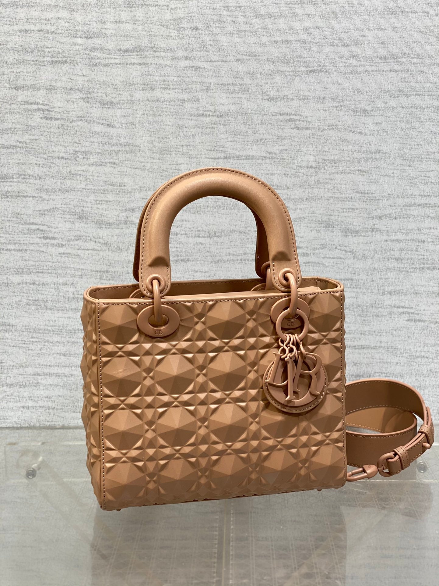 BAG-DIOR-W-LY-557