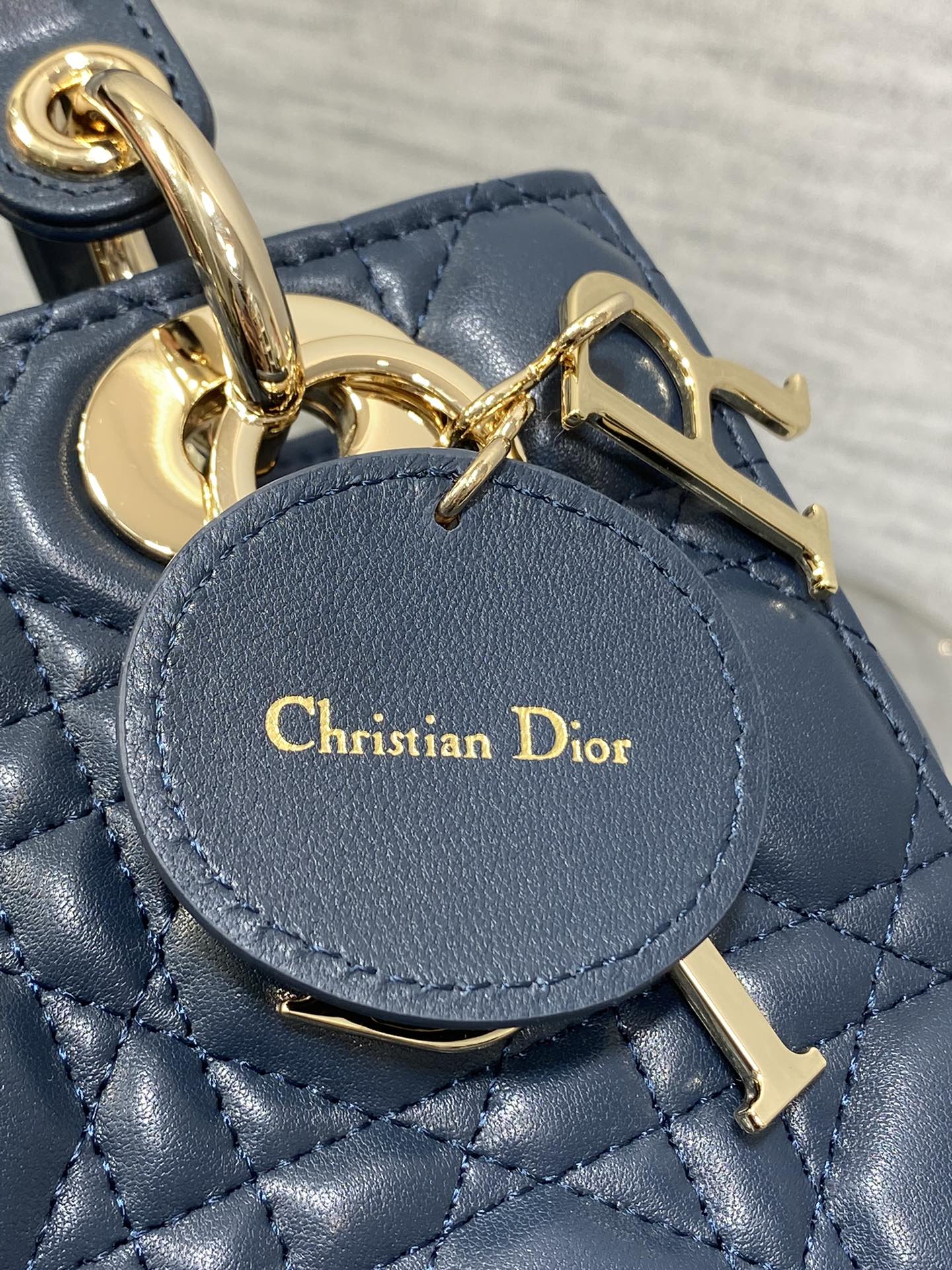 BAG-DIOR-W-LY-789