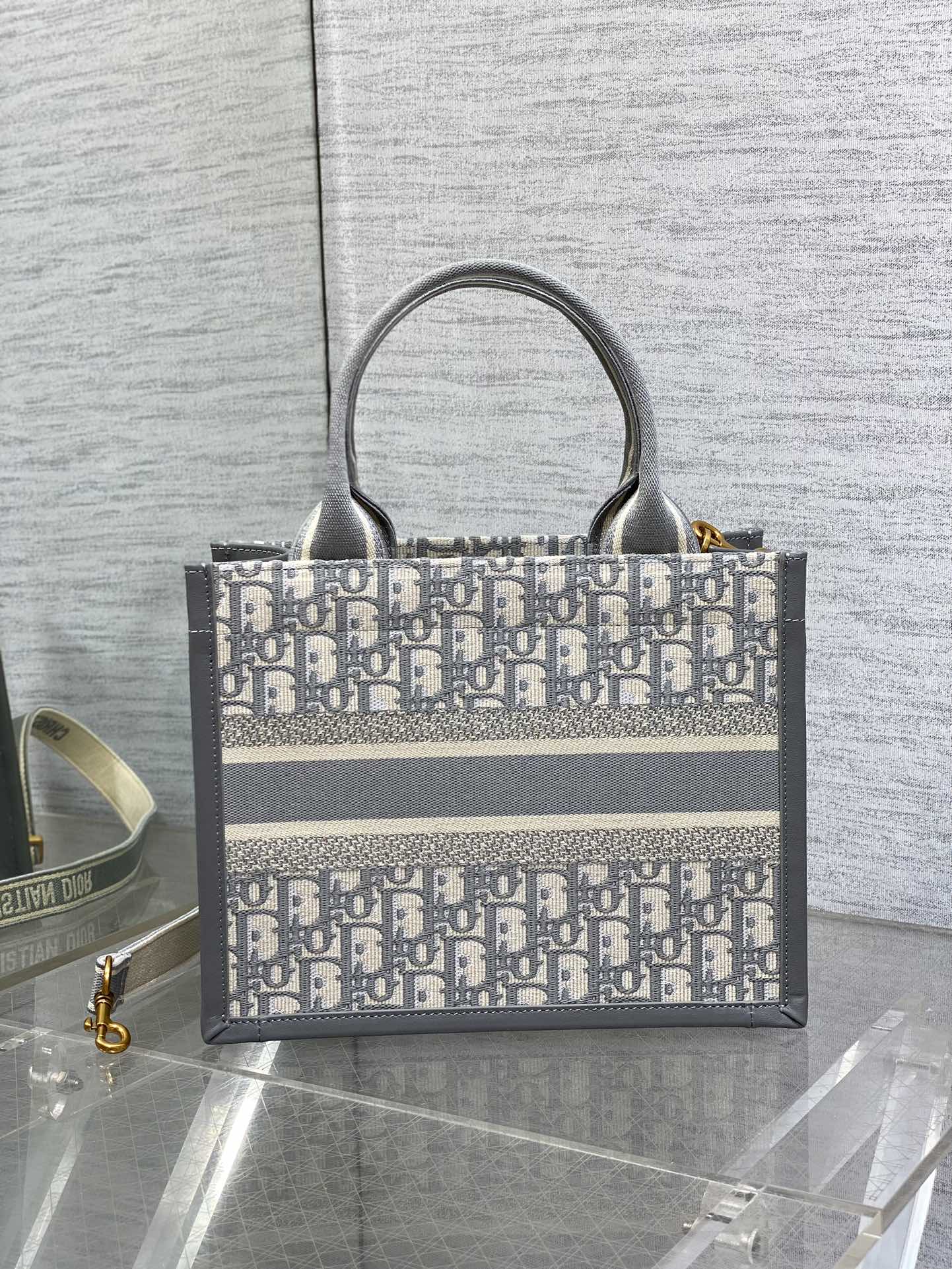BAG-DIOR-W-LY-193