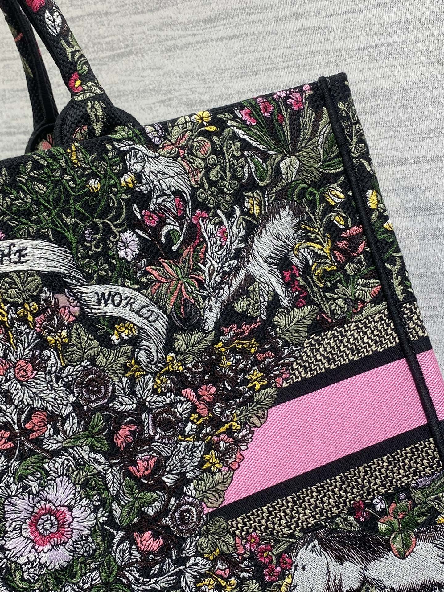 BAG-DIOR-W-LY-873