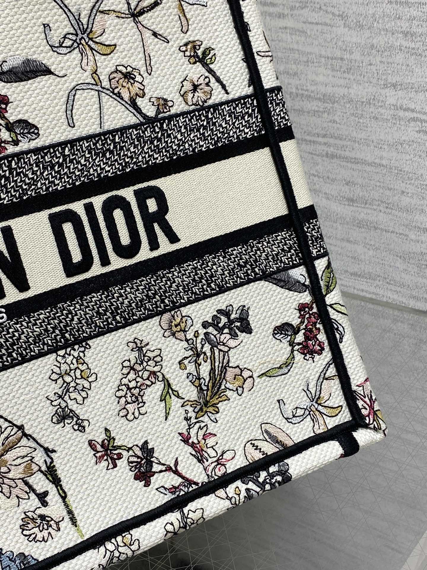 BAG-DIOR-W-LY-931