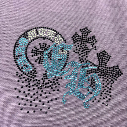 TS-CH-NEW-077