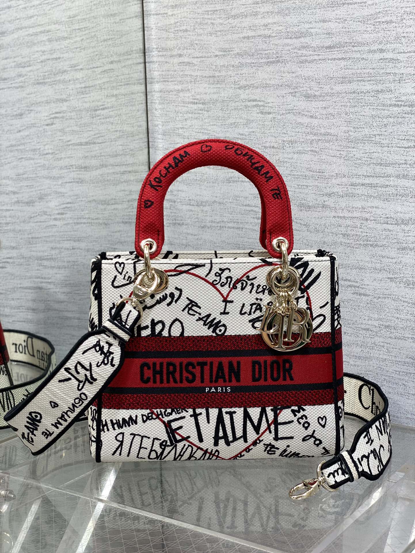 BAG-DIOR-W-LY-446