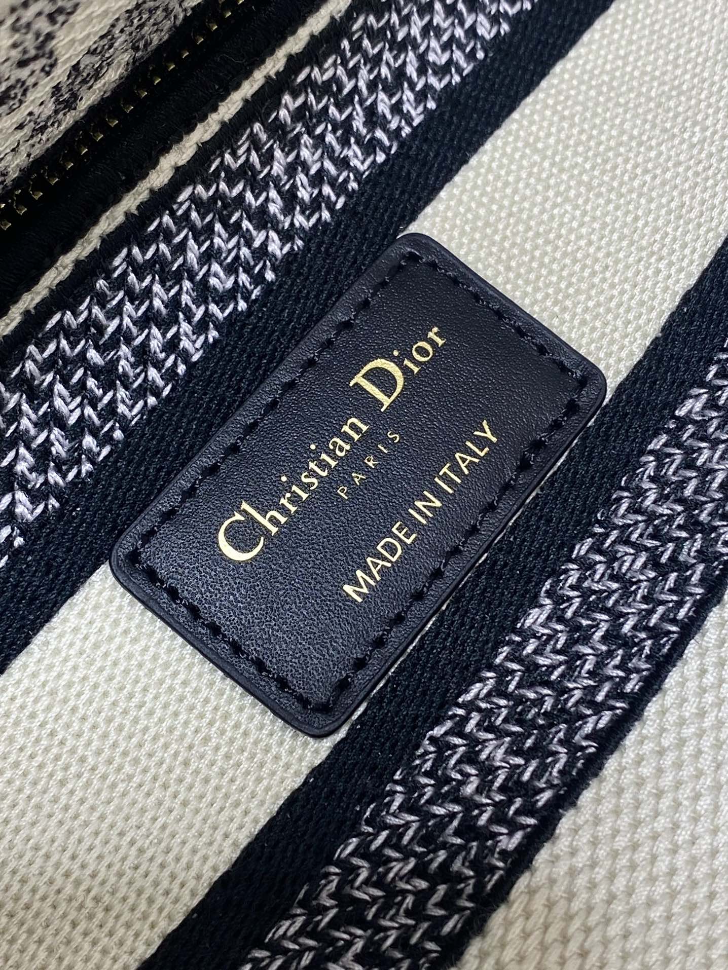 BAG-DIOR-W-LY-499