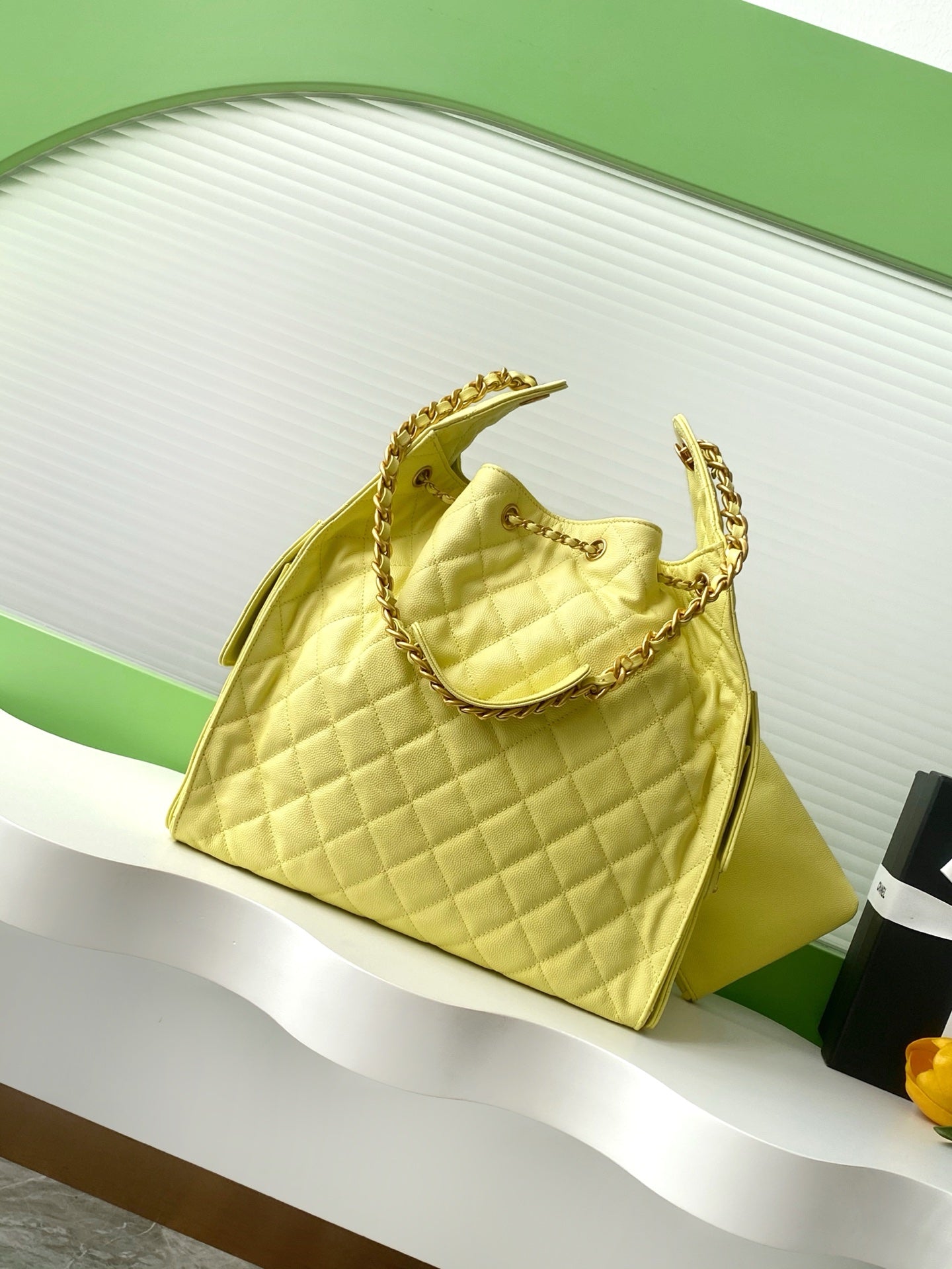 BAG-CHANEL-221