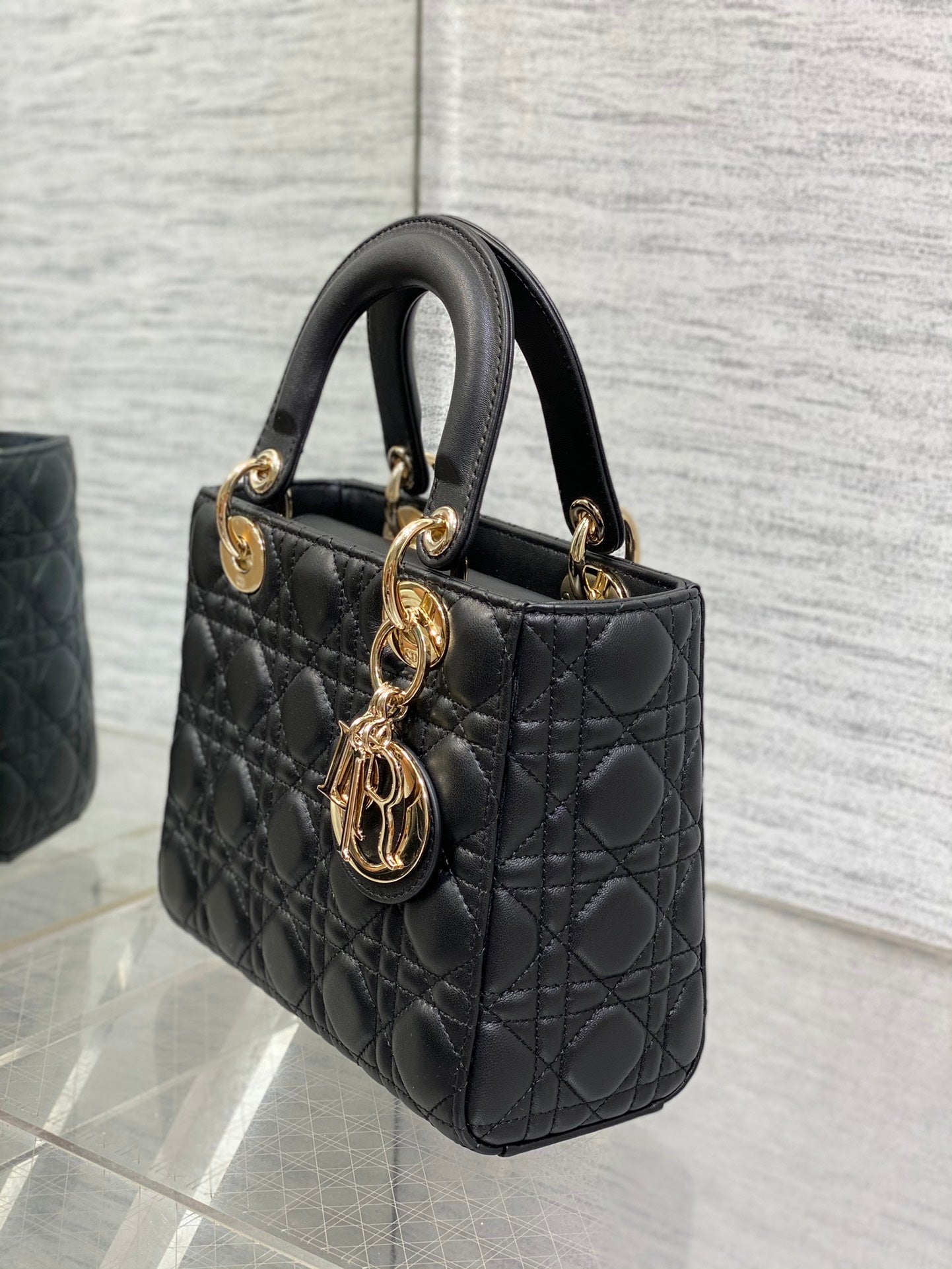BAG-DIOR-W-LY-662