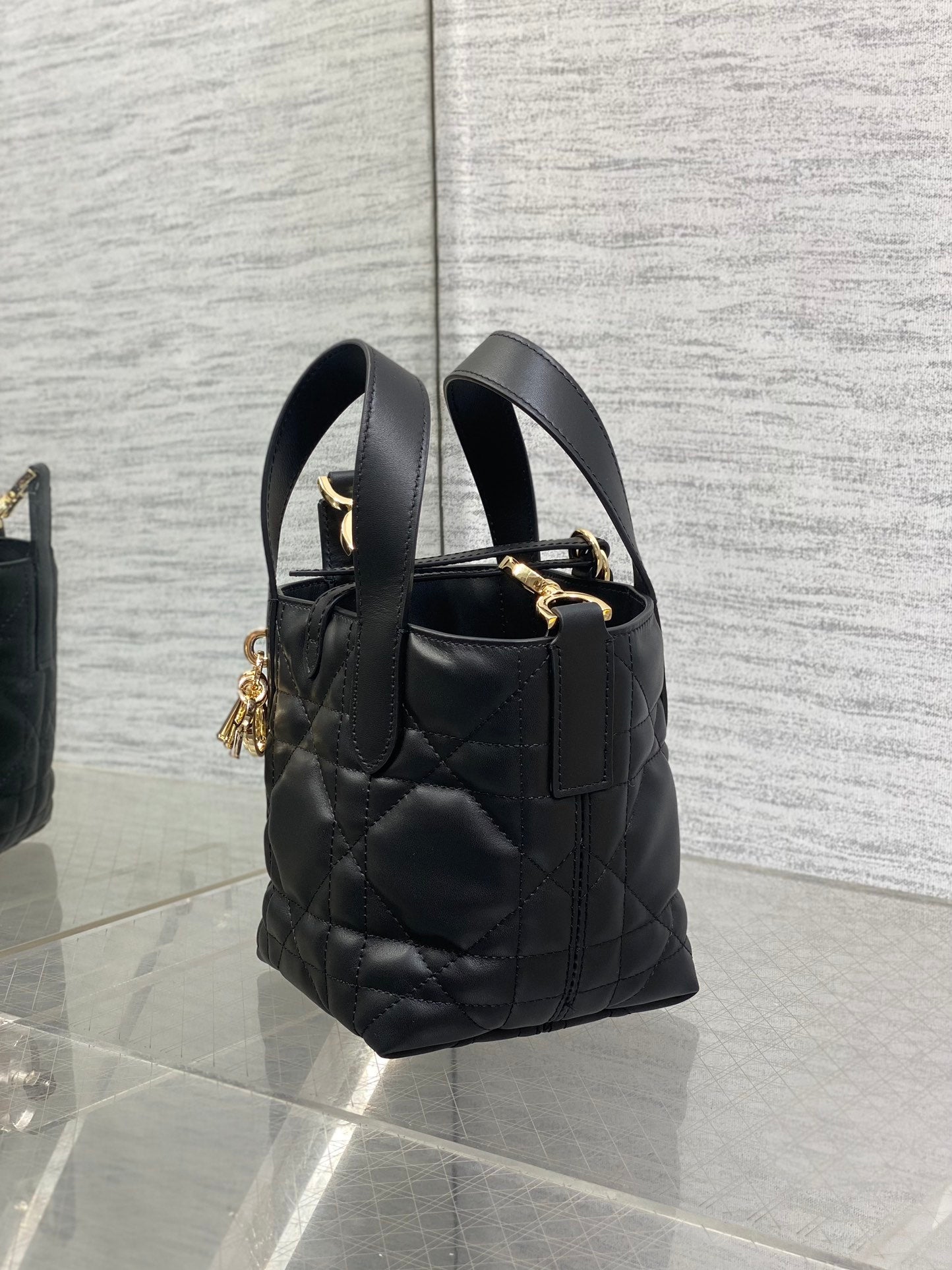 BAG-DIOR-W-LY-059