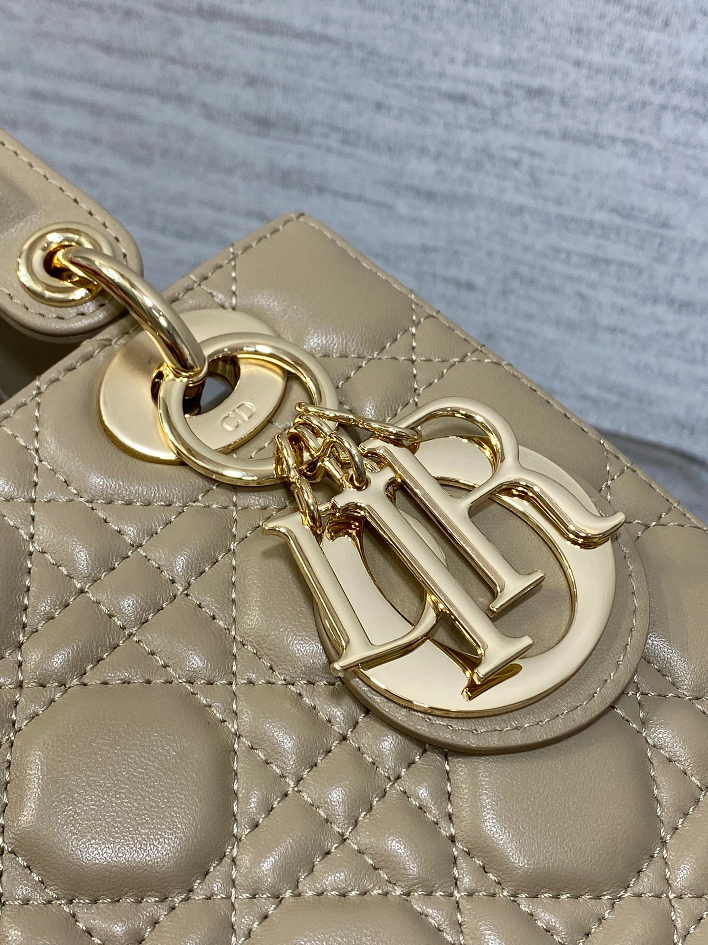 BAG-DIOR-W-LY-161