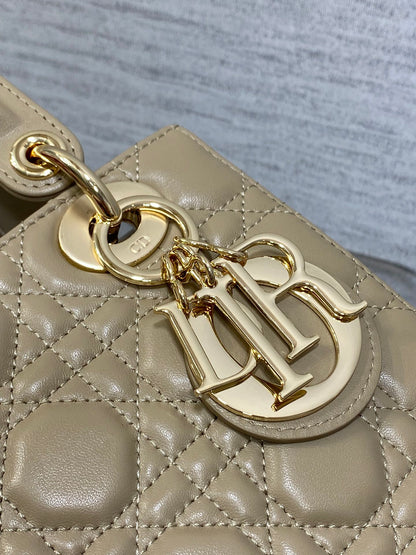BAG-DIOR-W-LY-161