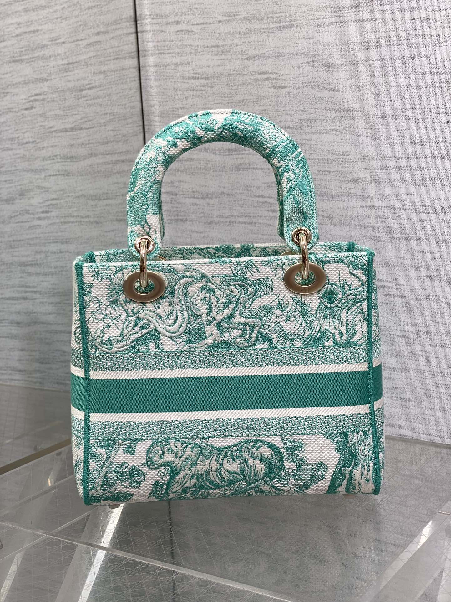 BAG-DIOR-W-LY-070