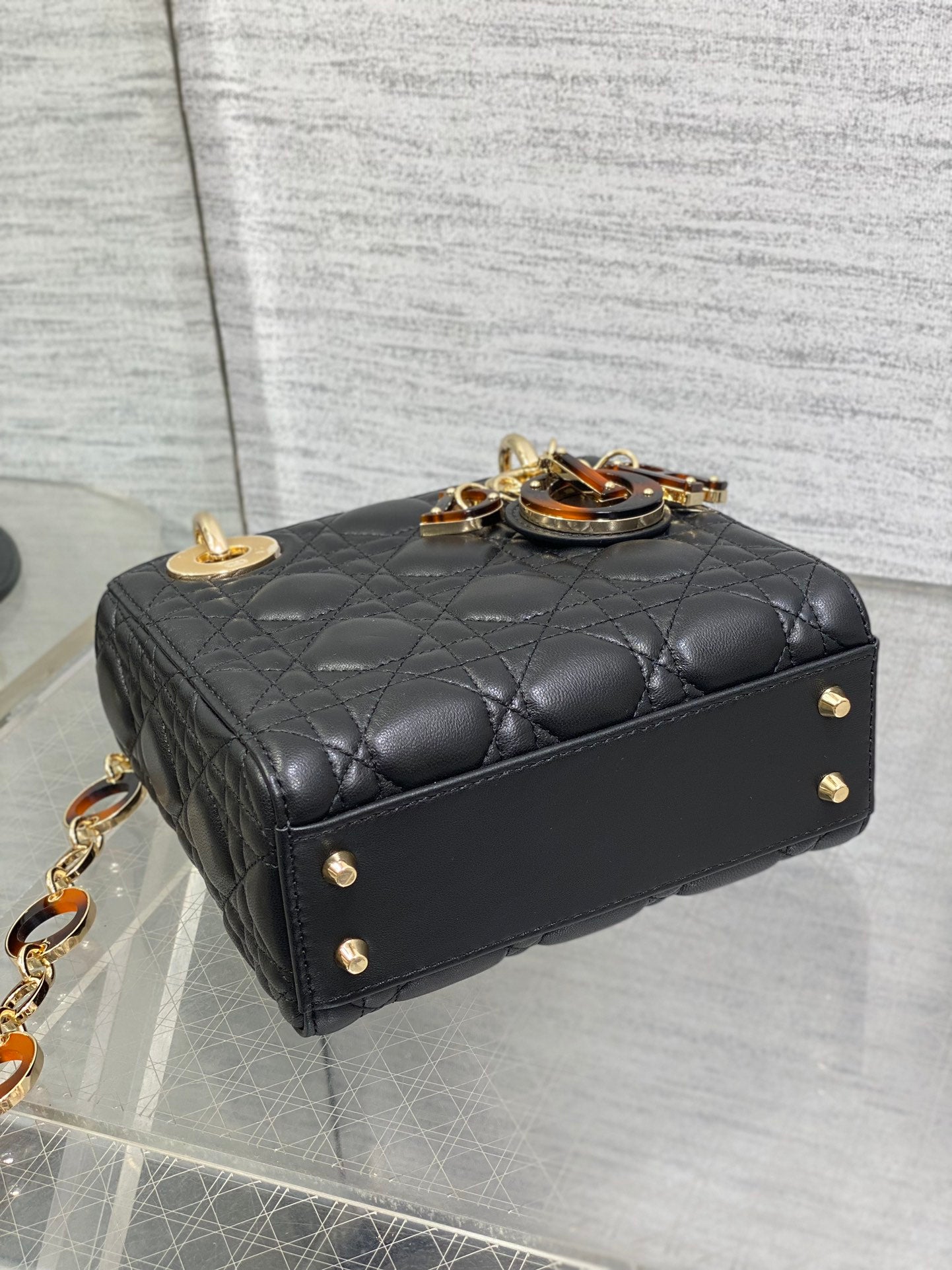 BAG-DIOR-W-LY-009