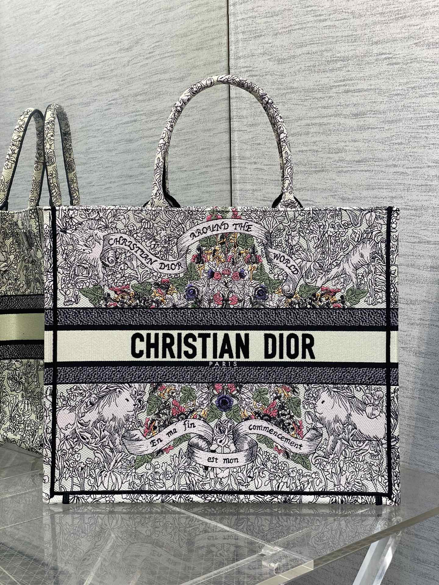 BAG-DIOR-W-LY-844
