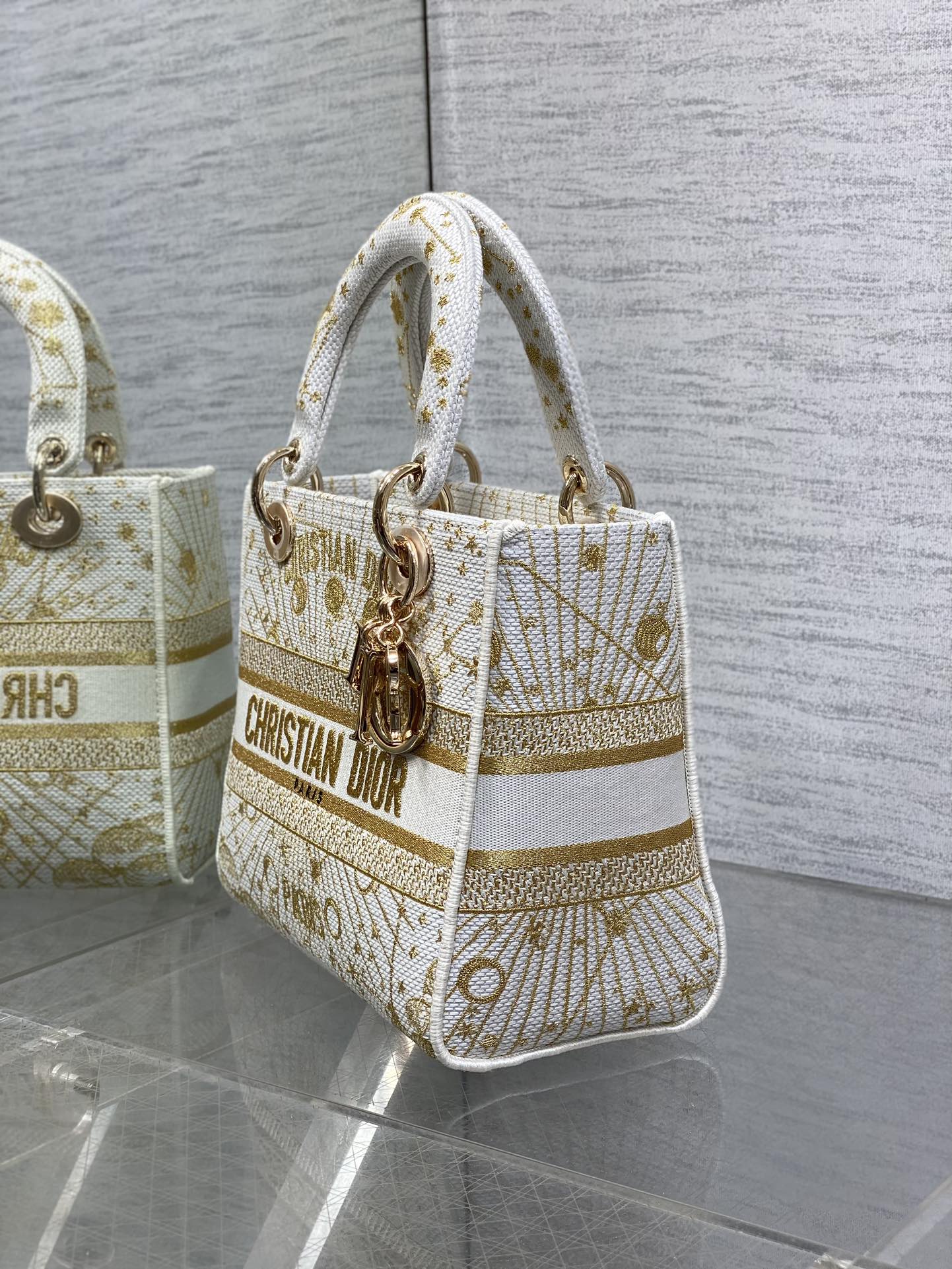 BAG-DIOR-W-LY-507