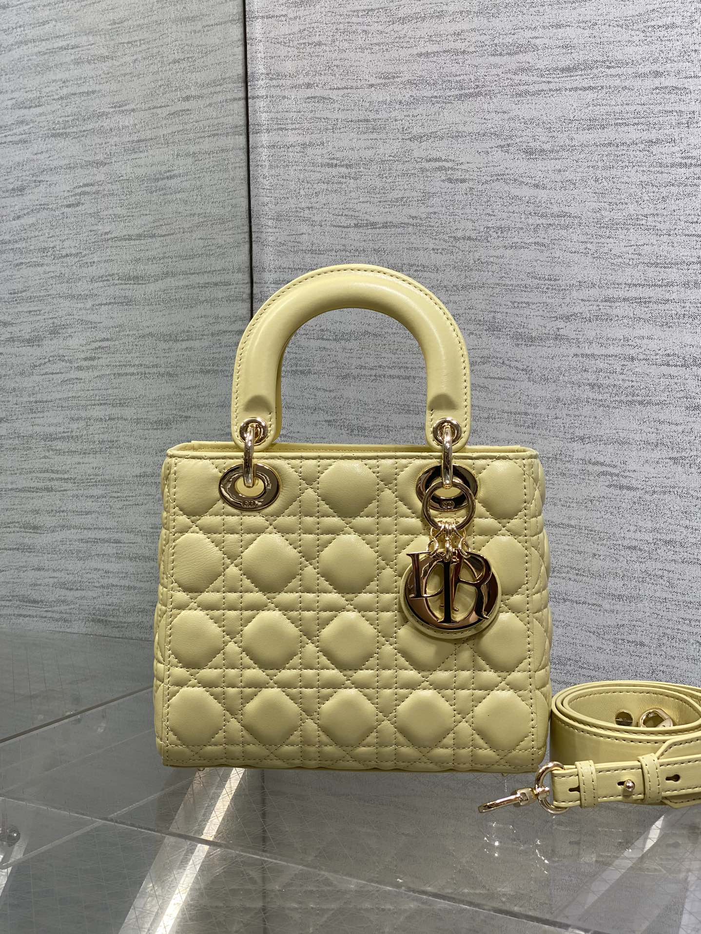 BAG-DIOR-W-LY-713