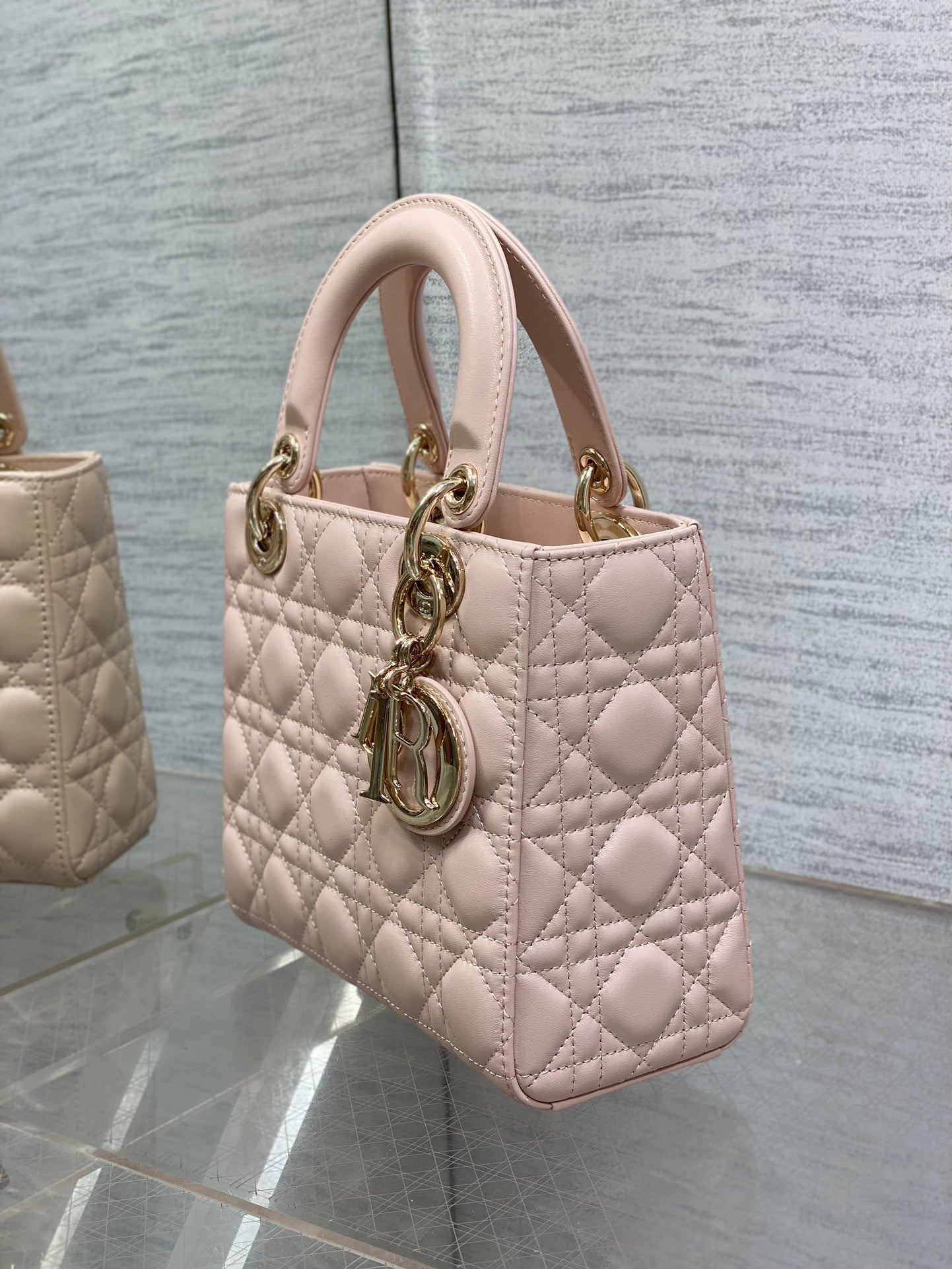 BAG-DIOR-W-LY-165