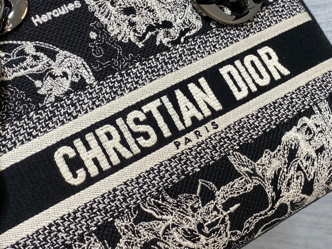 BAG-DIOR-W-LY-089