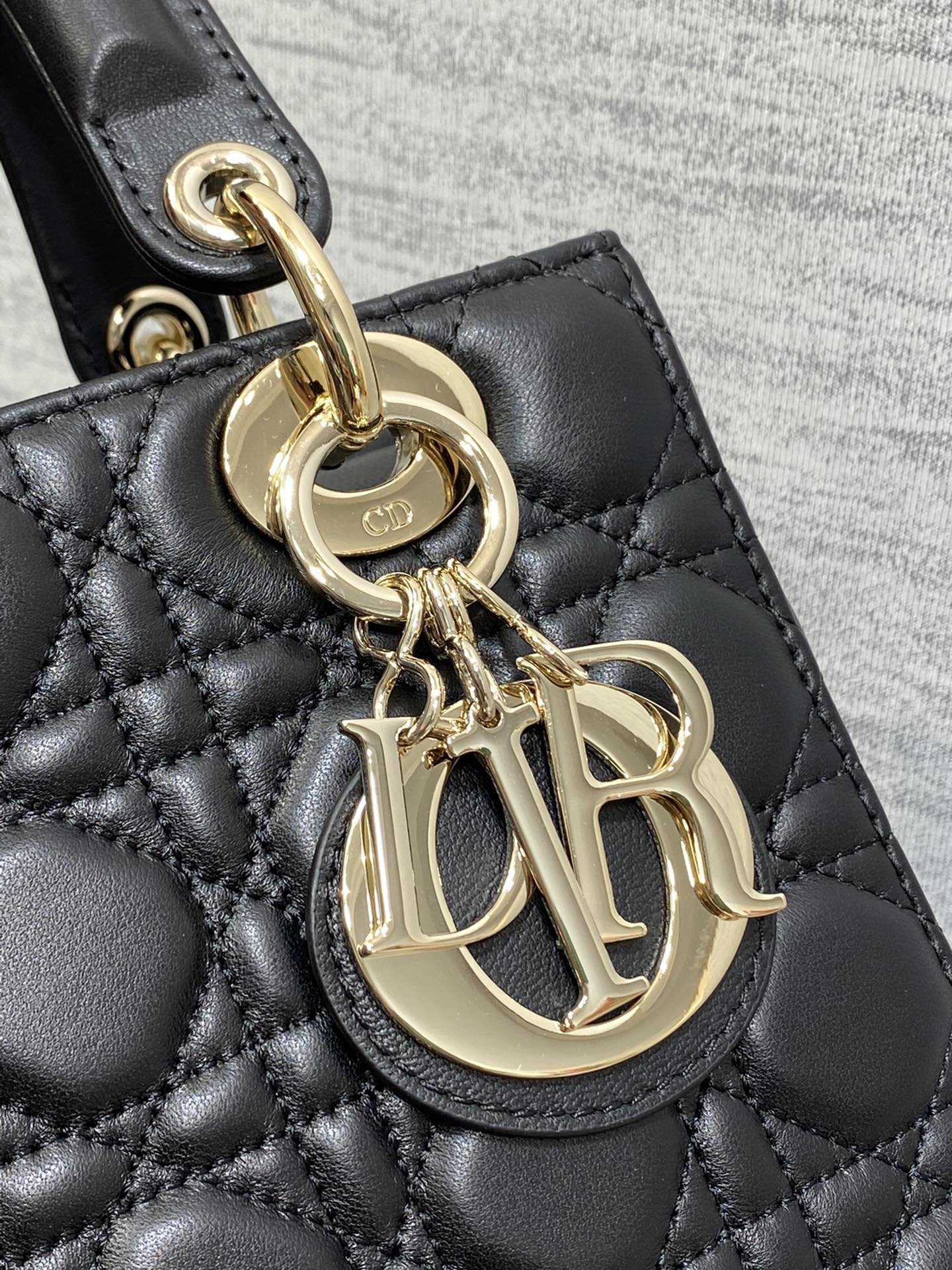 BAG-DIOR-W-LY-662