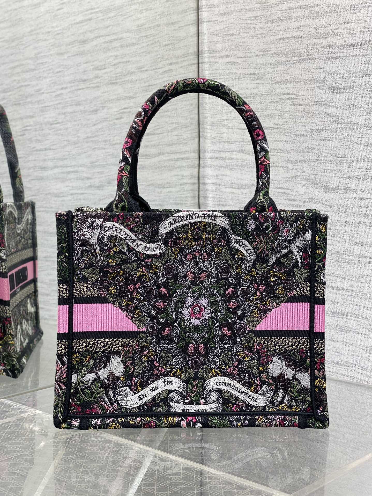 BAG-DIOR-W-LY-858