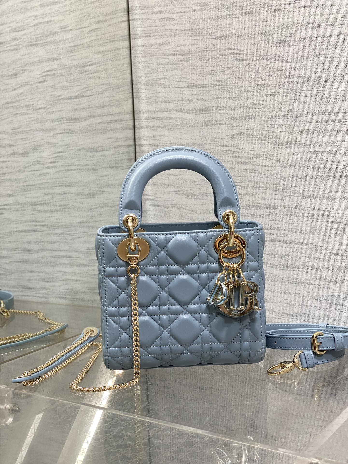 BAG-DIOR-W-LY-011