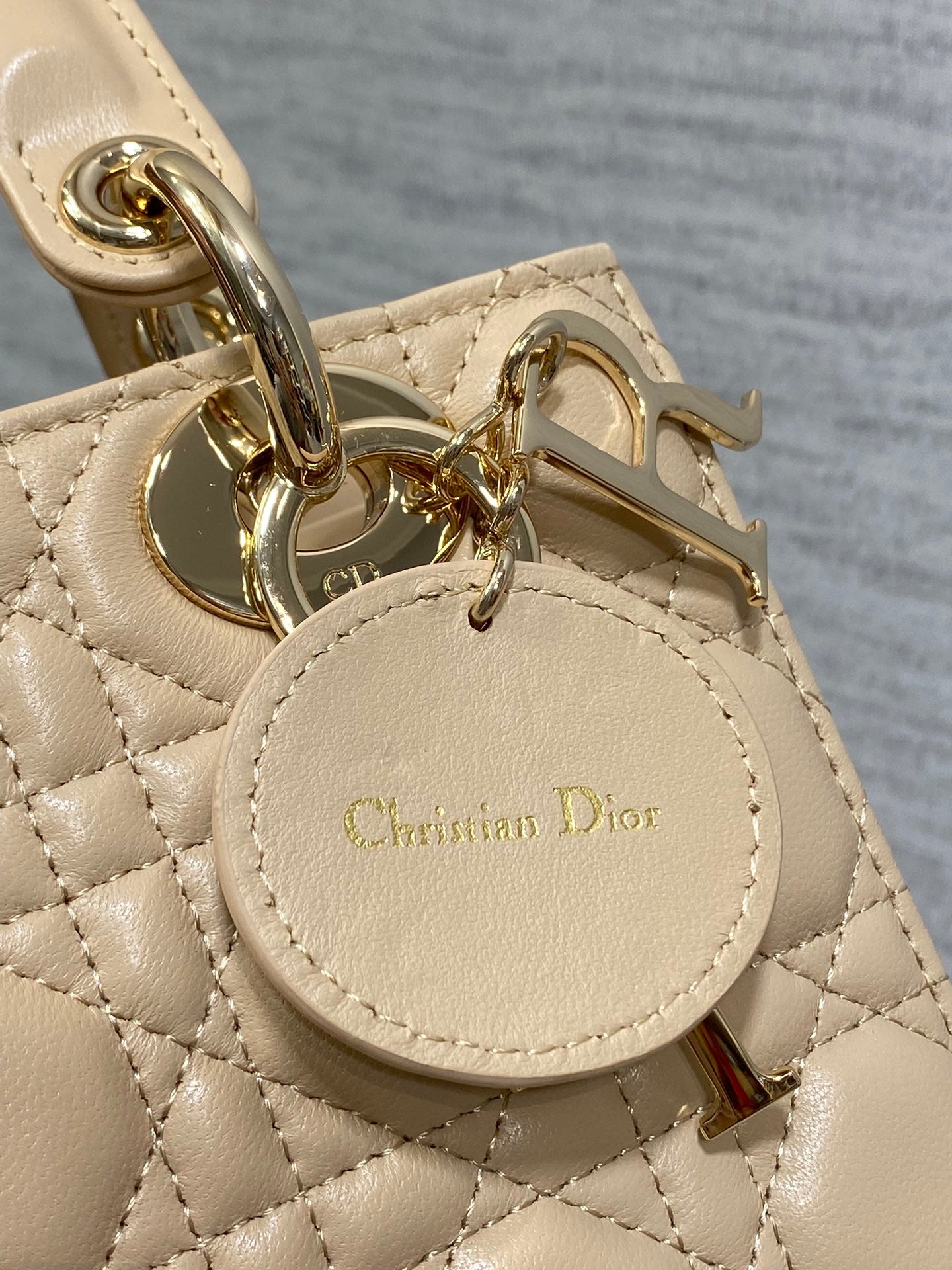 BAG-DIOR-W-LY-769