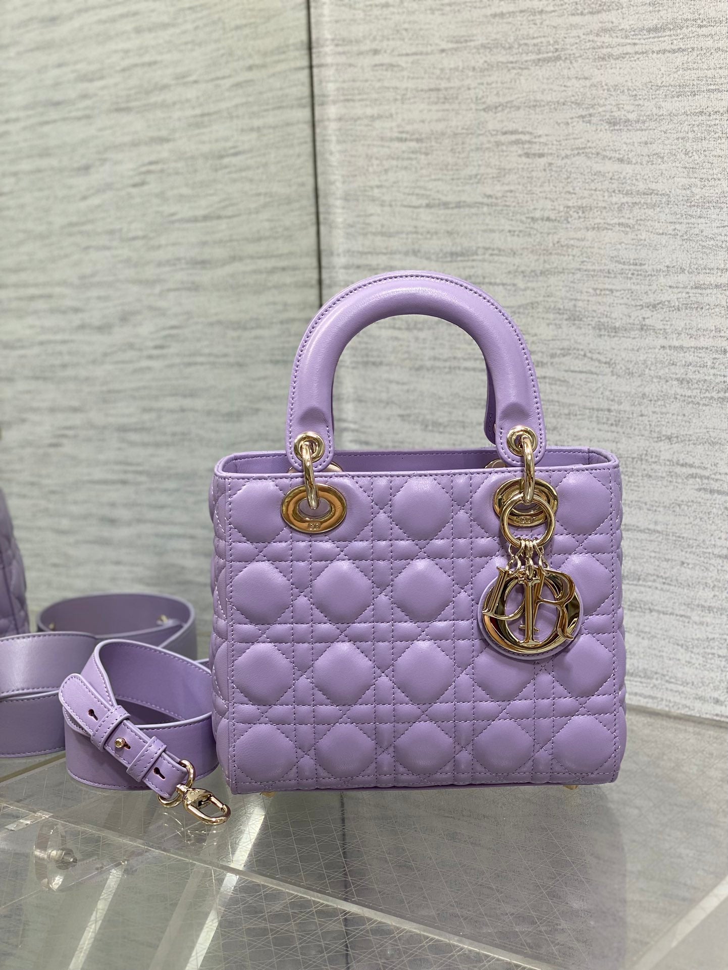 BAG-DIOR-W-LY-672