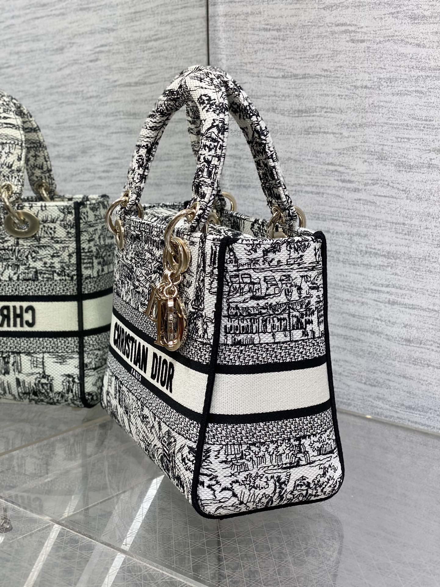 BAG-DIOR-W-LY-491