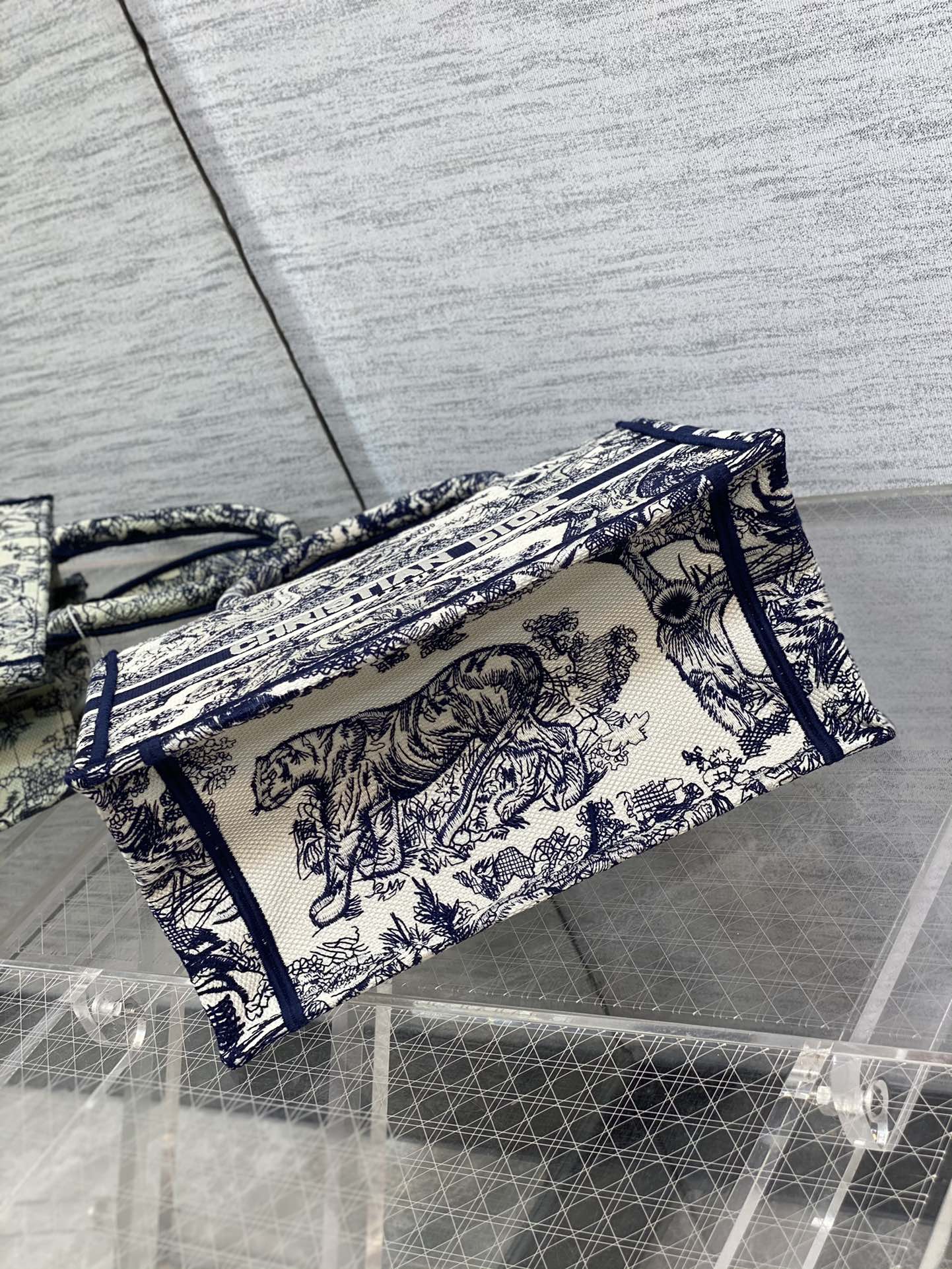 BAG-DIOR-W-LY-208