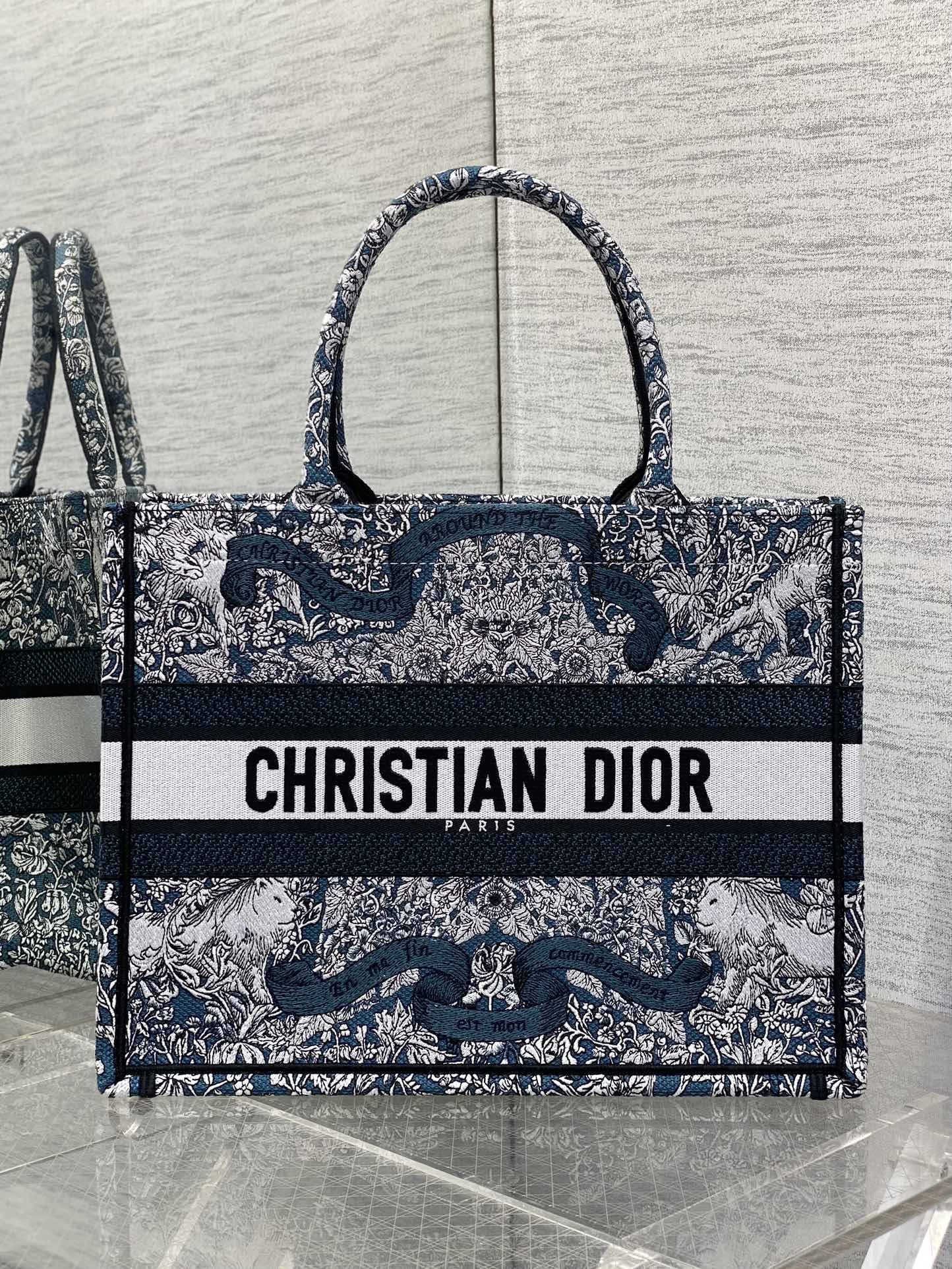 BAG-DIOR-W-LY-846