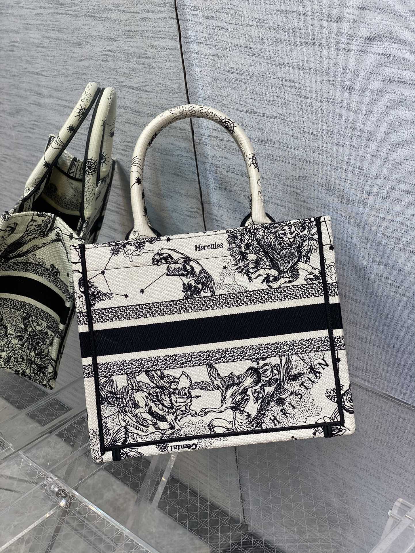 BAG-DIOR-W-LY-901