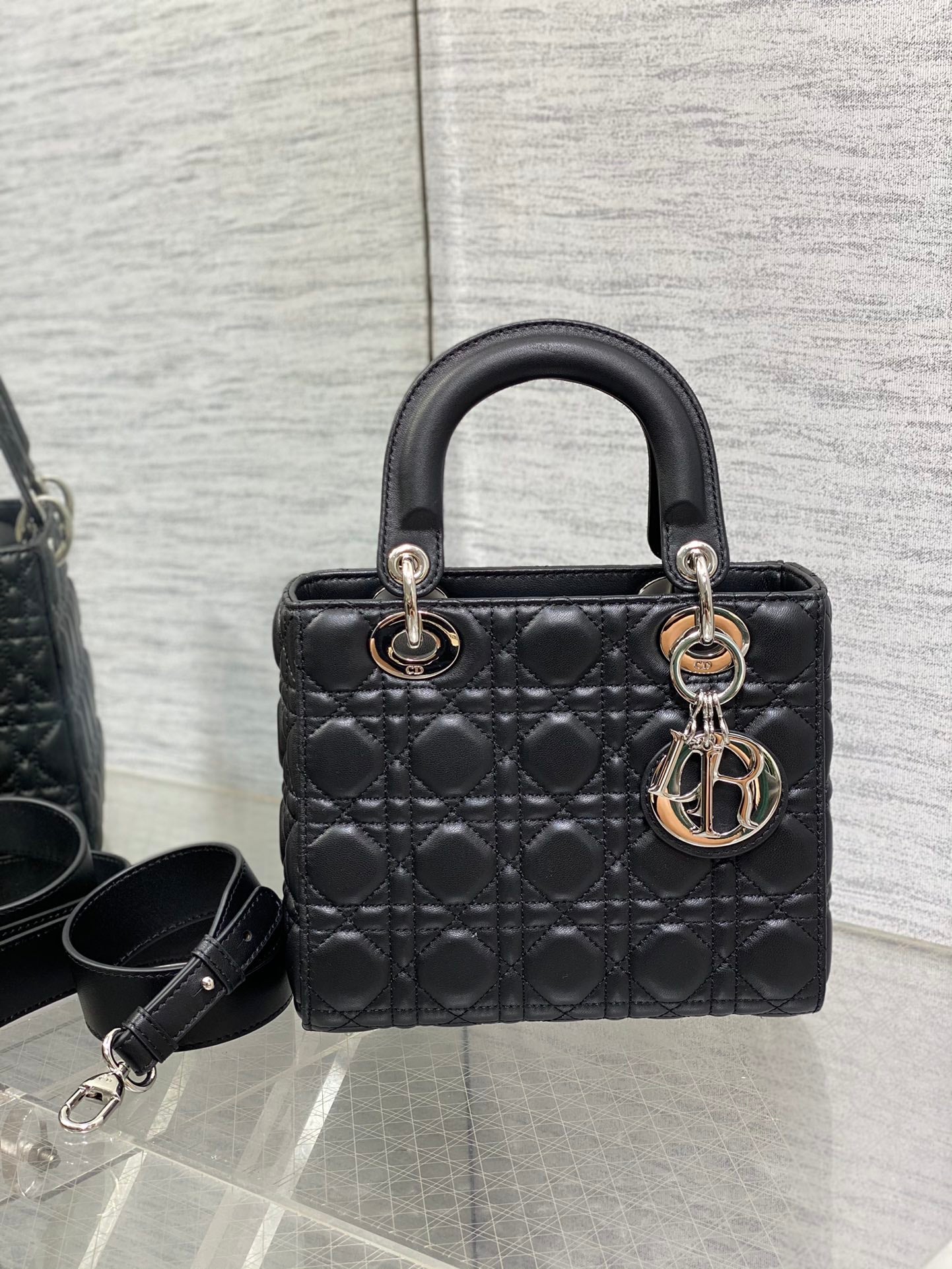 BAG-DIOR-W-LY-663