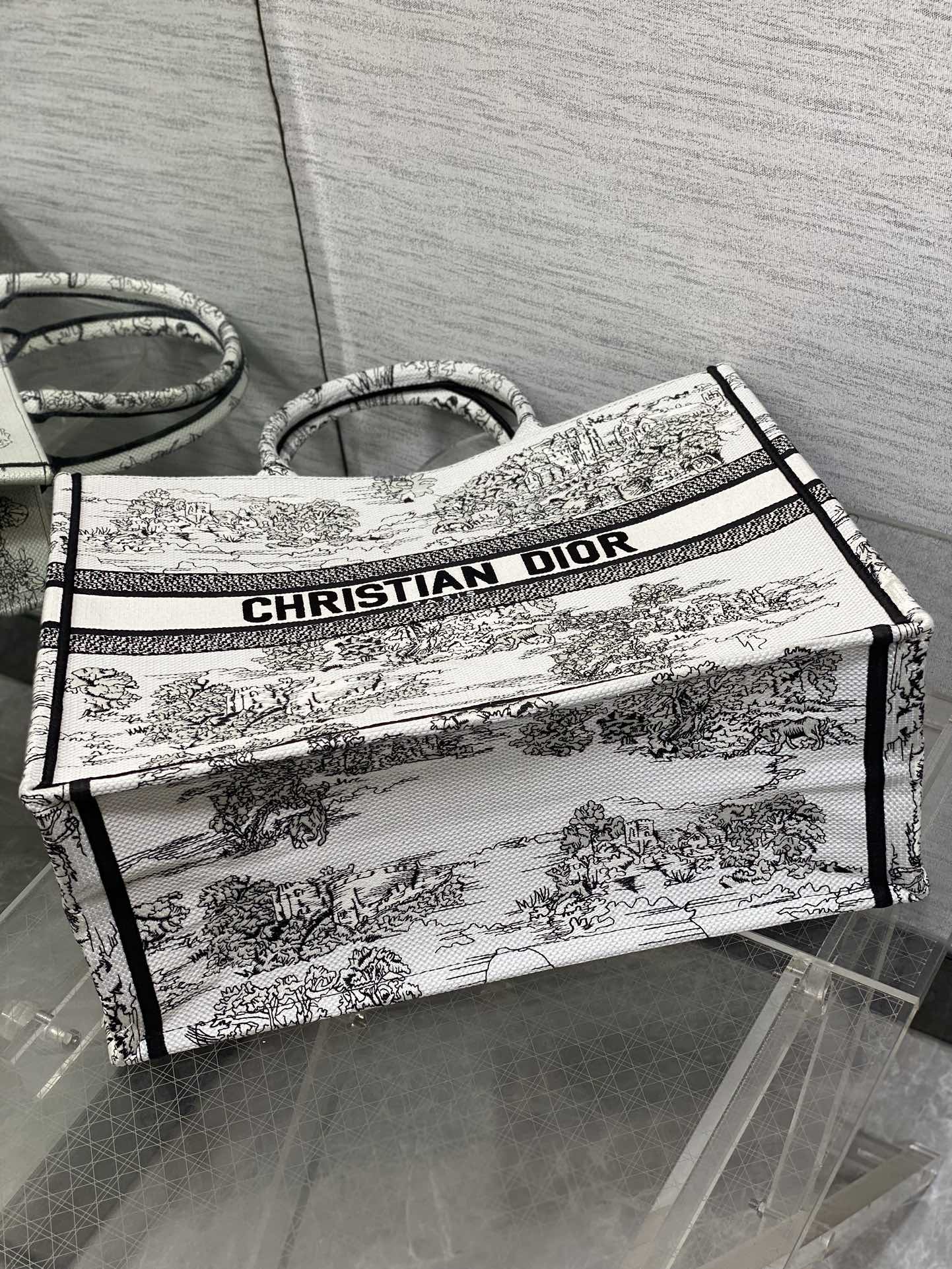 BAG-DIOR-W-LY-864