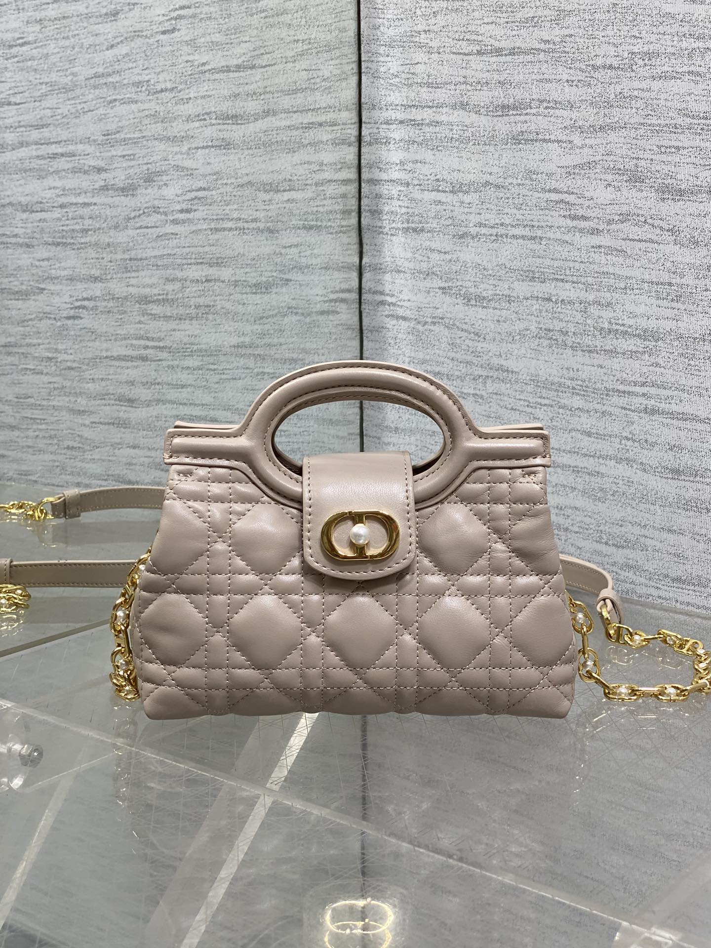 BAG-DIOR-W-LY-023