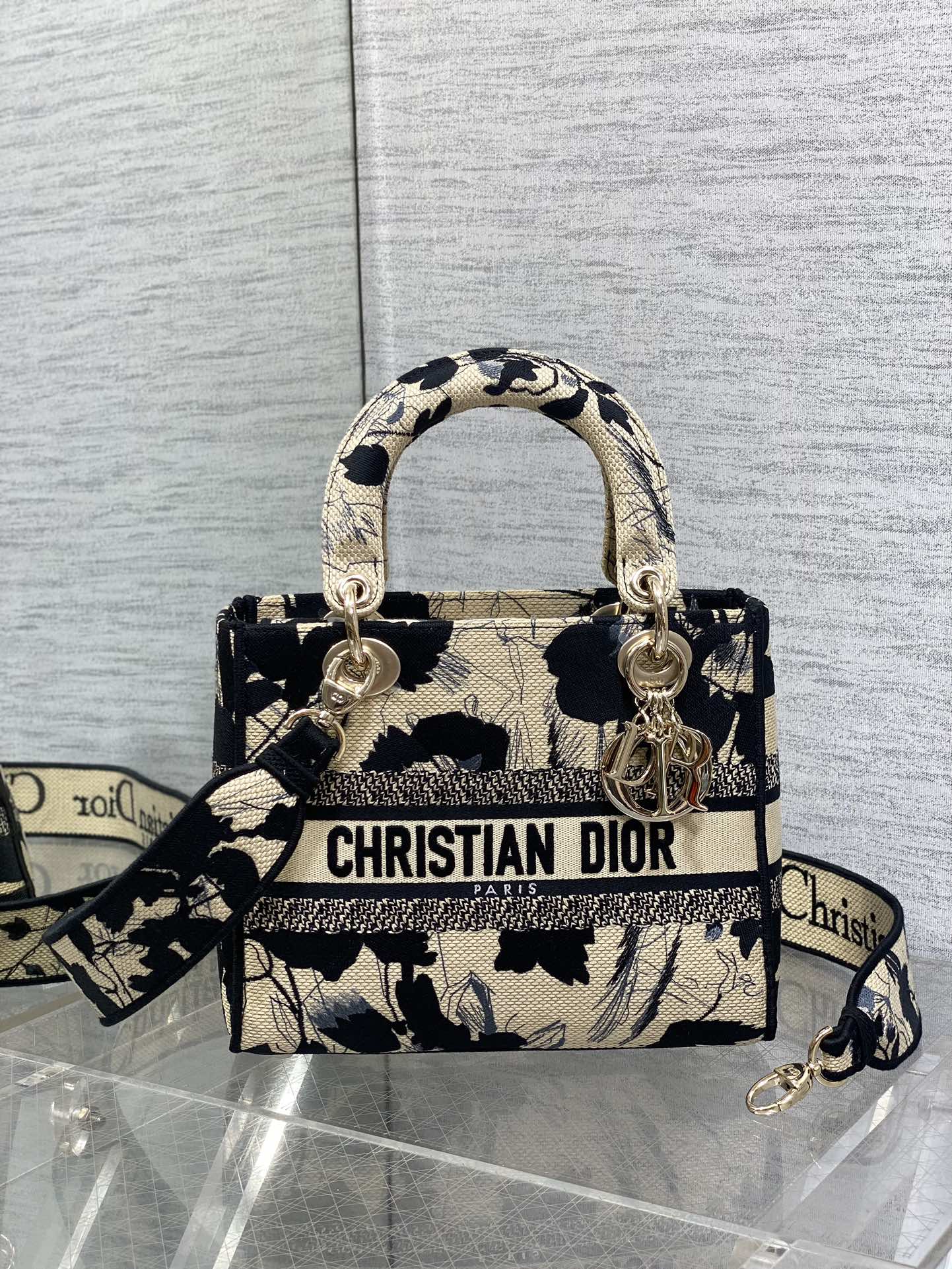 BAG-DIOR-W-LY-493