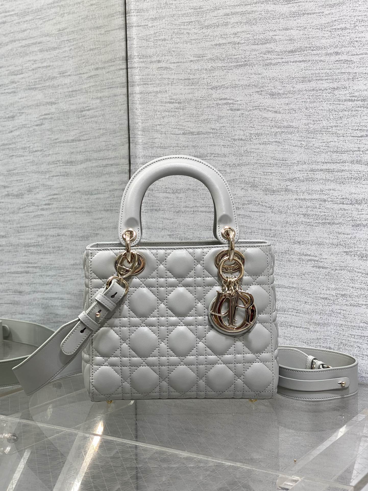 BAG-DIOR-W-LY-686