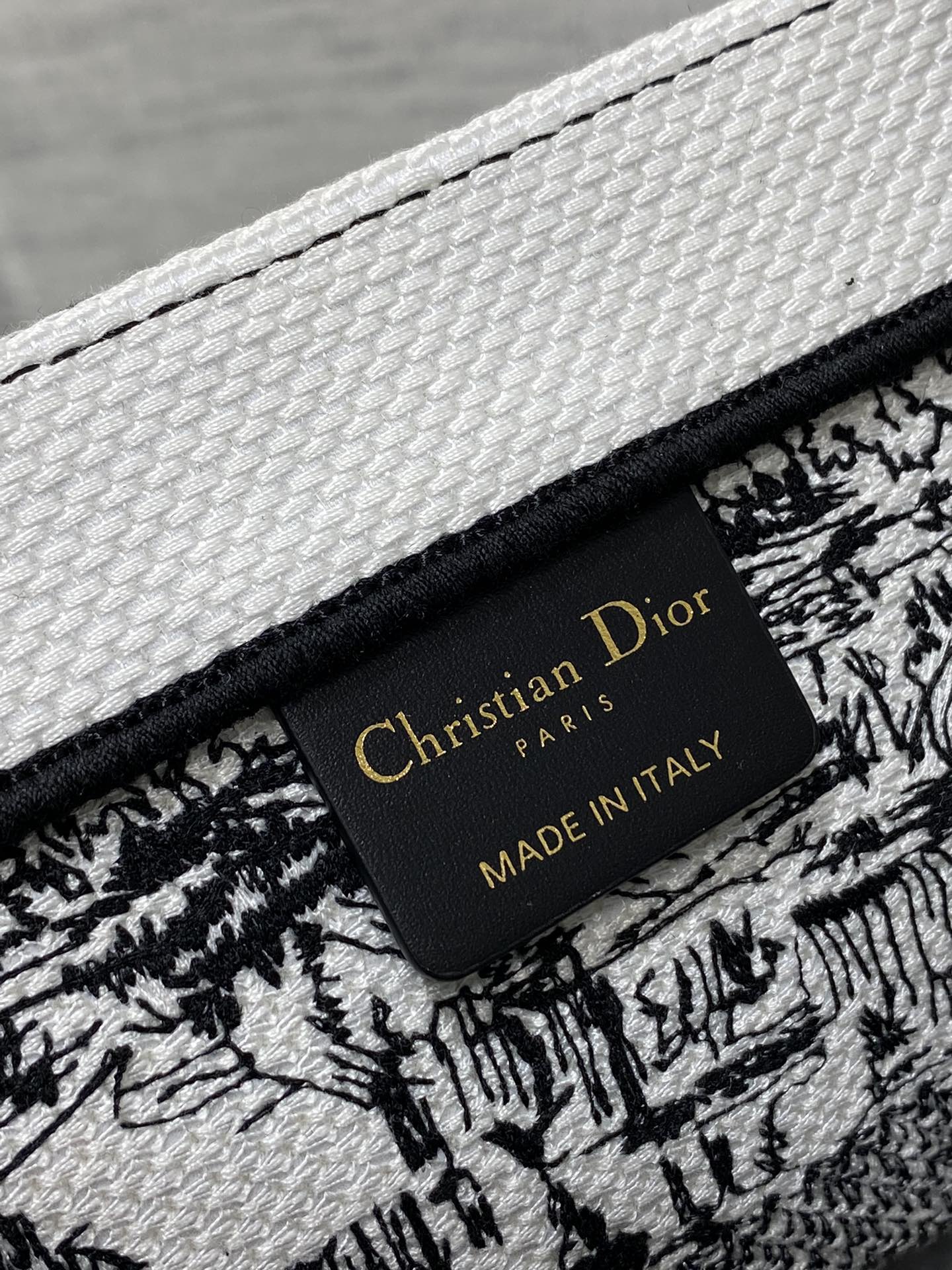 BAG-DIOR-W-LY-830