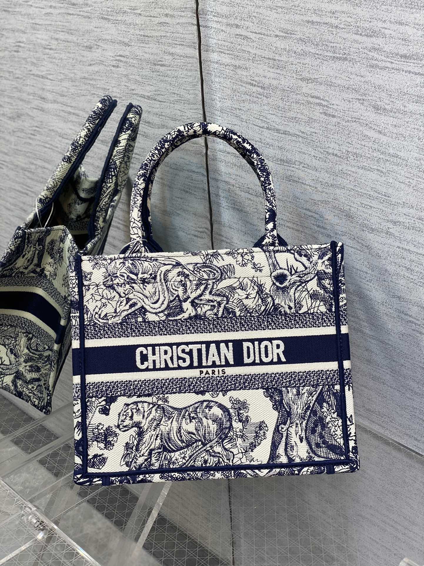 BAG-DIOR-W-LY-208
