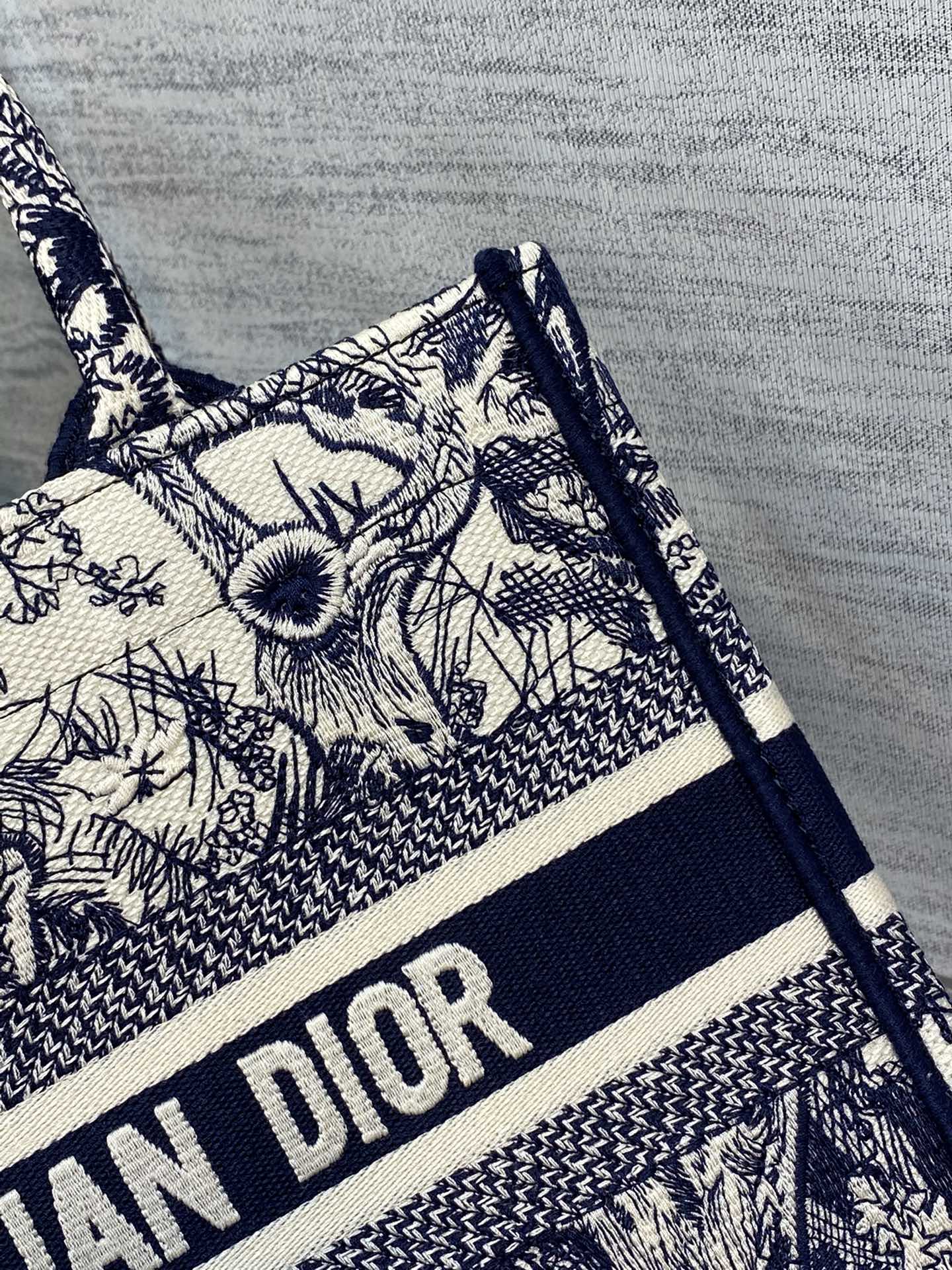 BAG-DIOR-W-LY-208