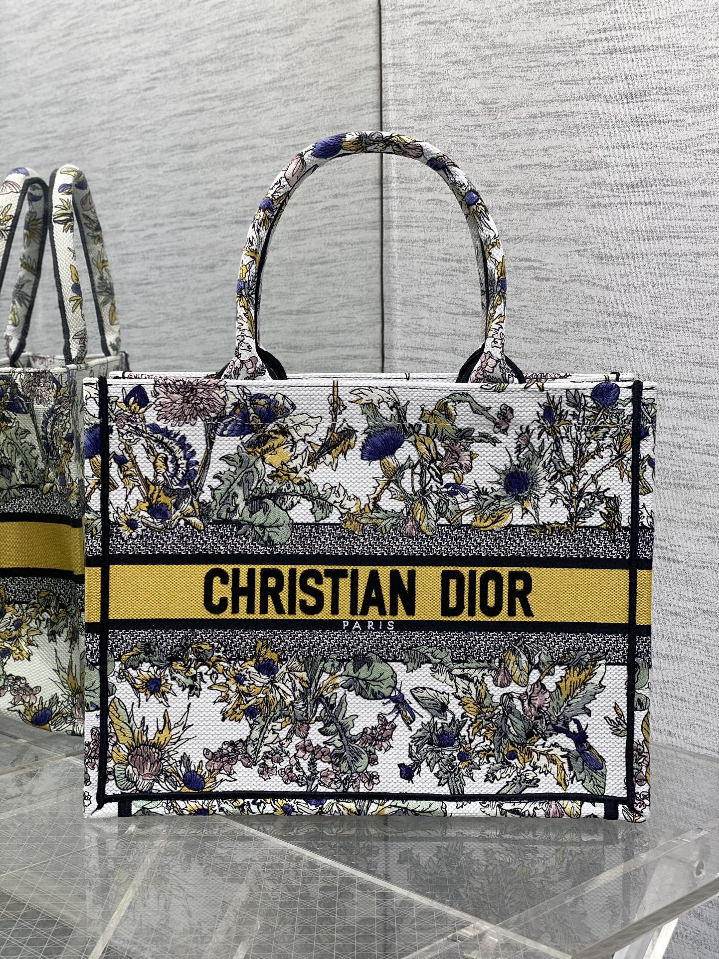 BAG-DIOR-W-LY-857