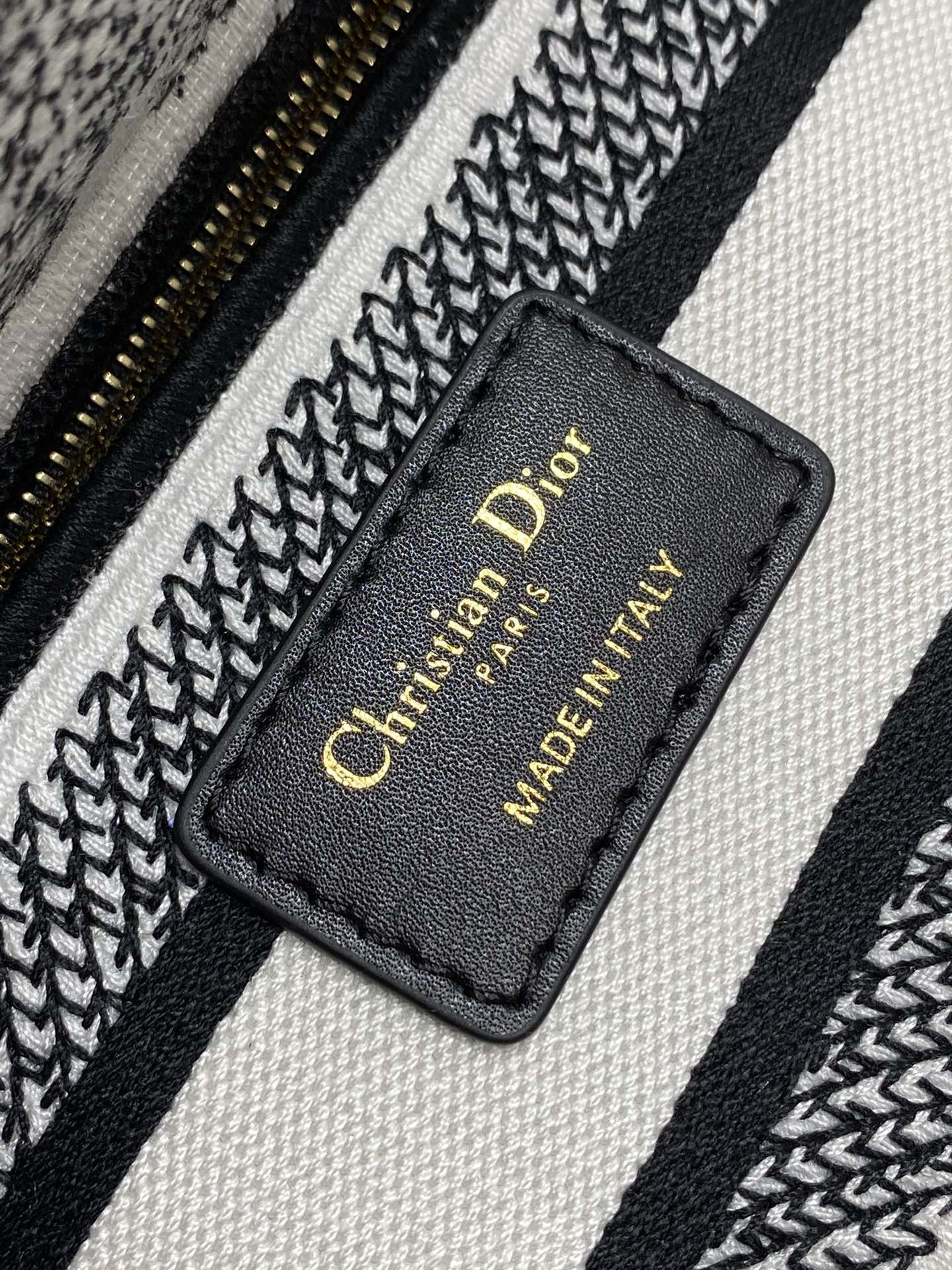 BAG-DIOR-W-LY-445