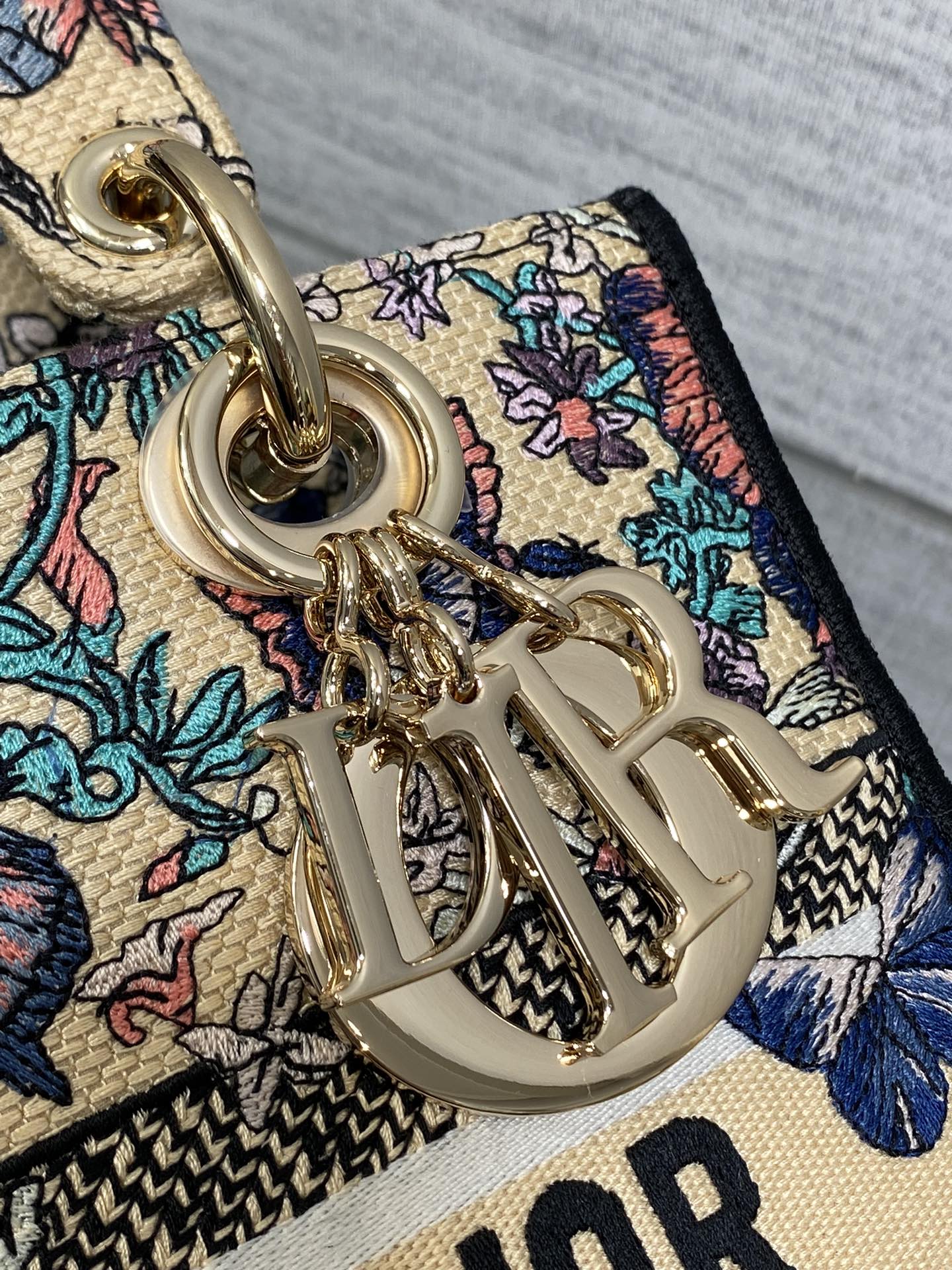BAG-DIOR-W-LY-504