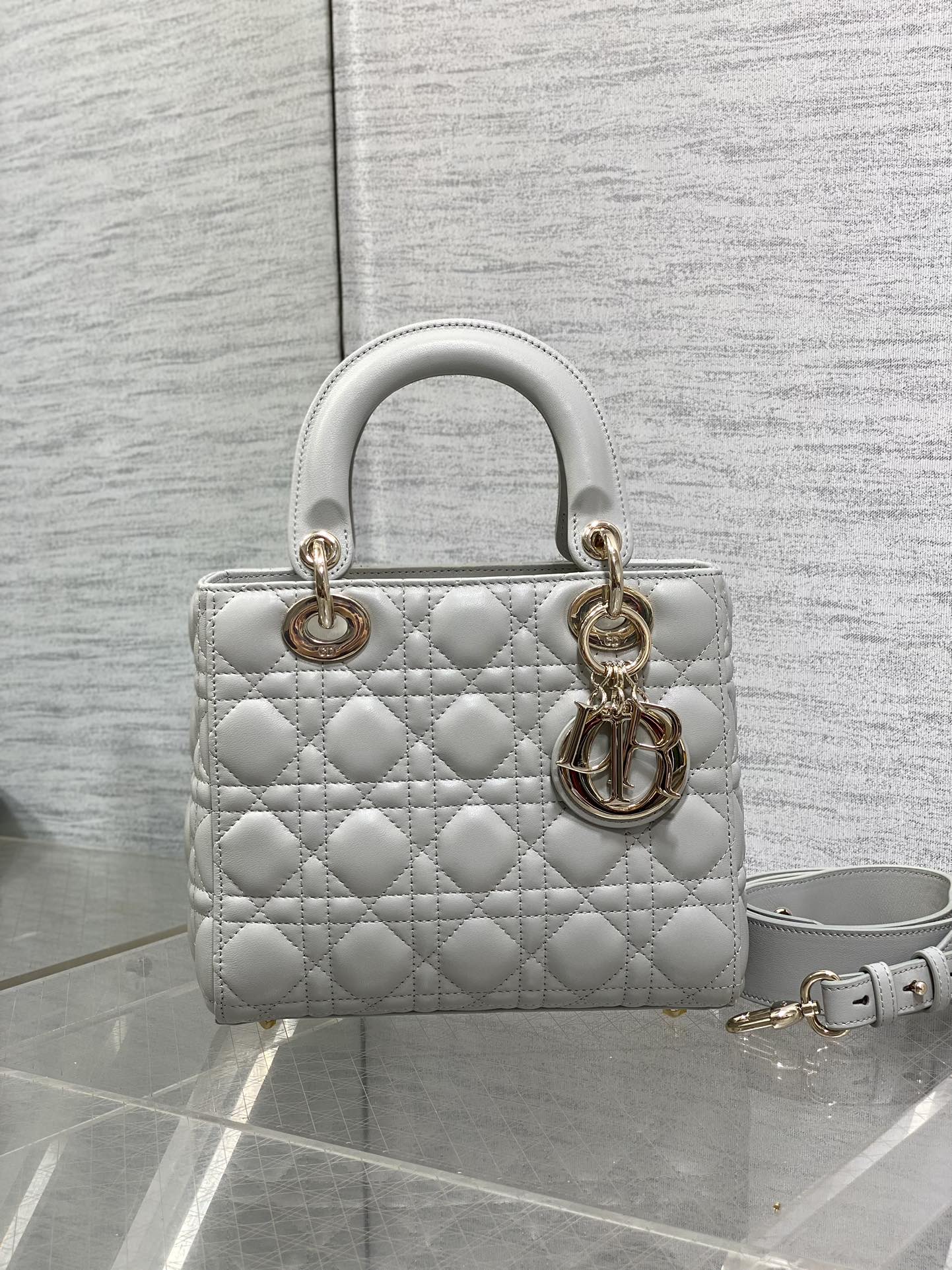 BAG-DIOR-W-LY-686