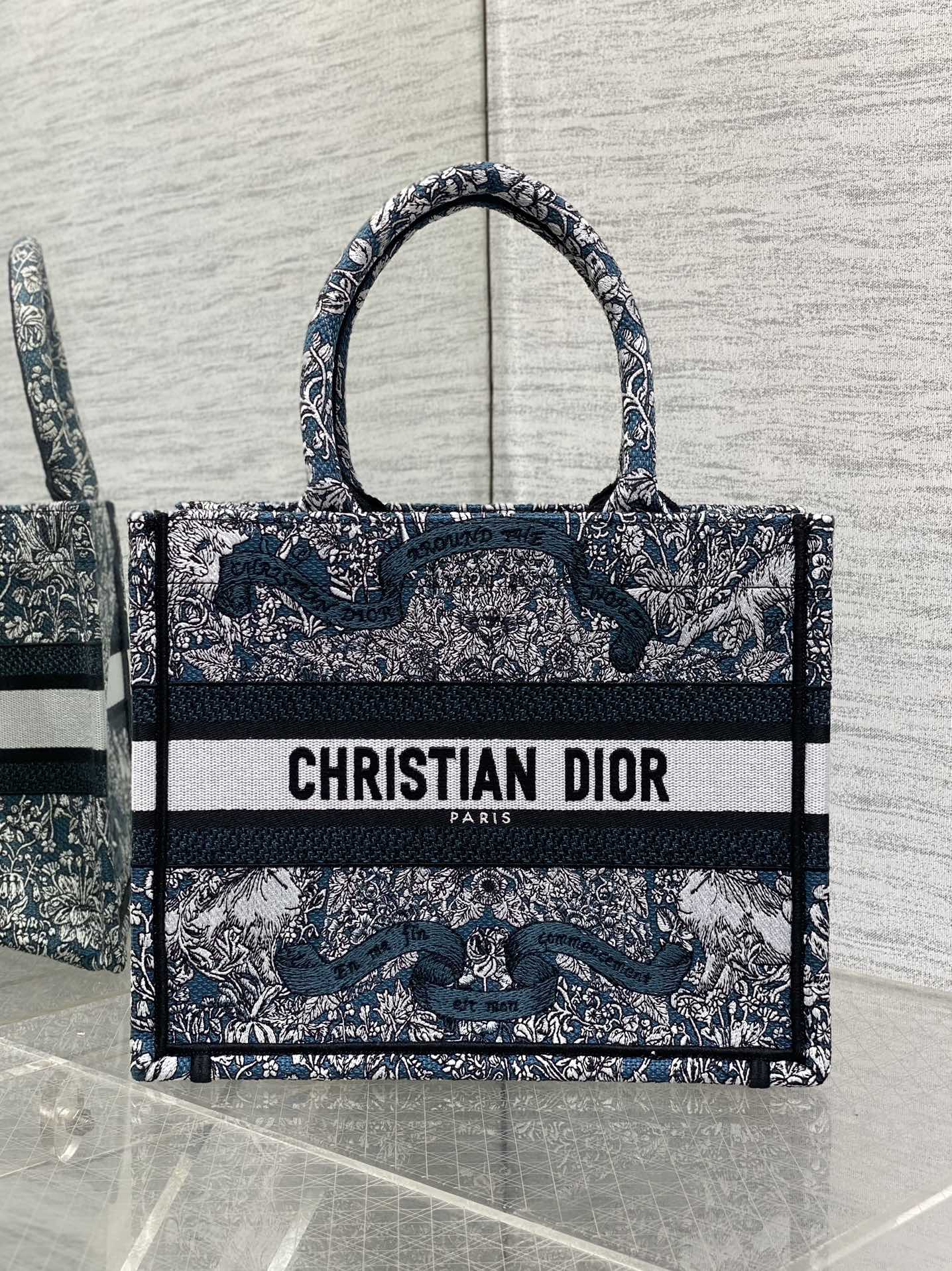 BAG-DIOR-W-LY-824