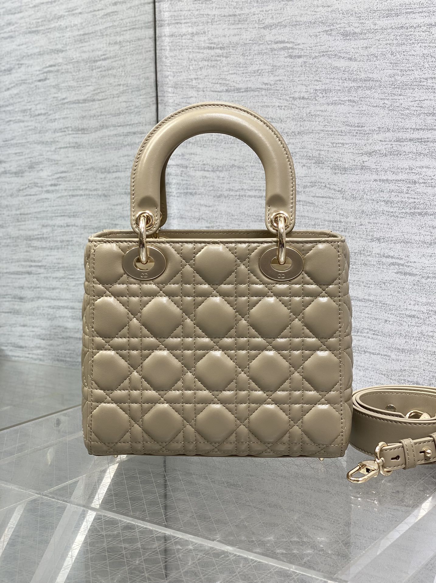 BAG-DIOR-W-LY-766